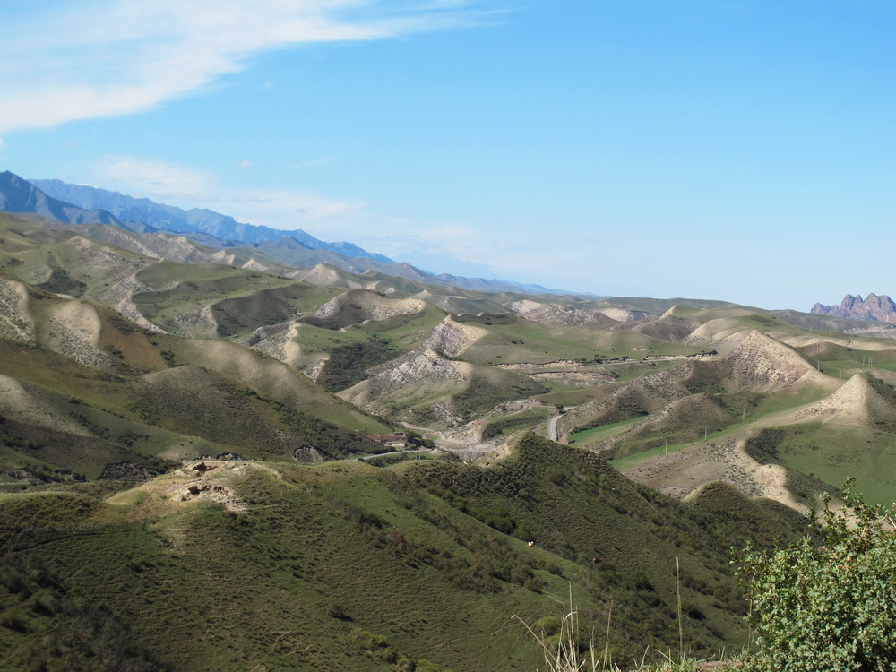 IMG_5584.jpg