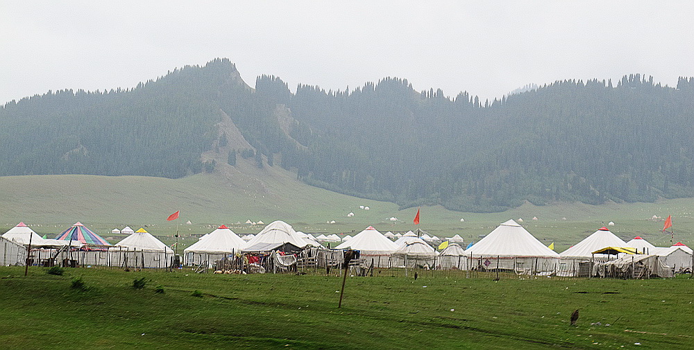 IMG_5362.JPG
