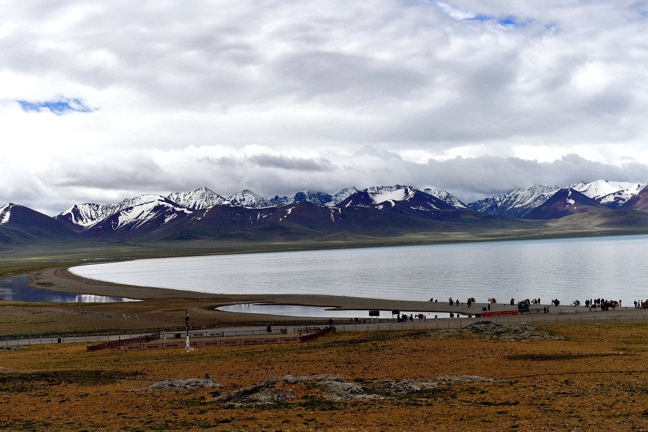 DSC_7037.jpg