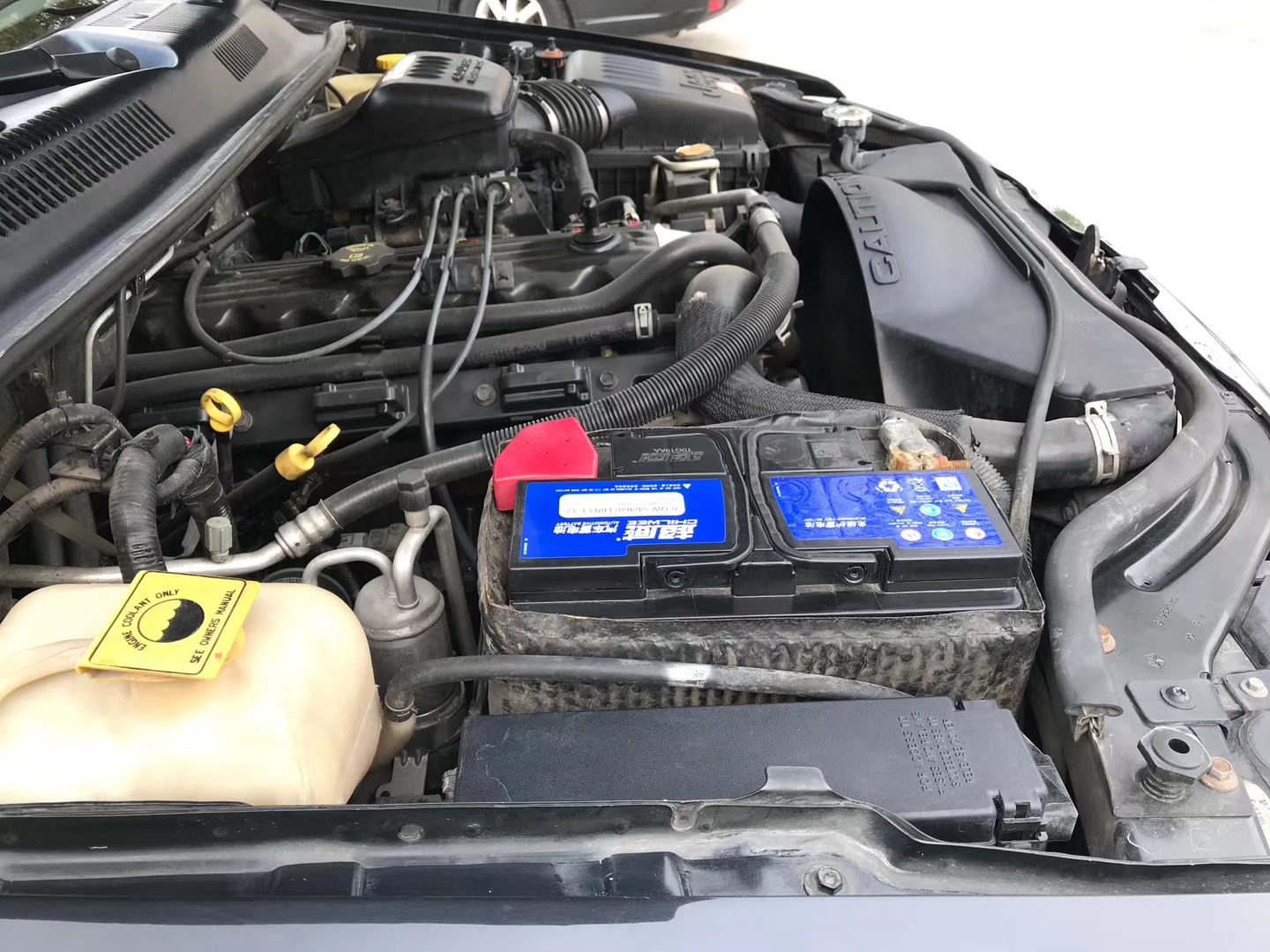 mmexport1606374310972.jpg