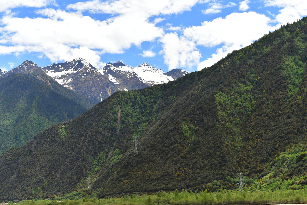 DSC_7081.jpg
