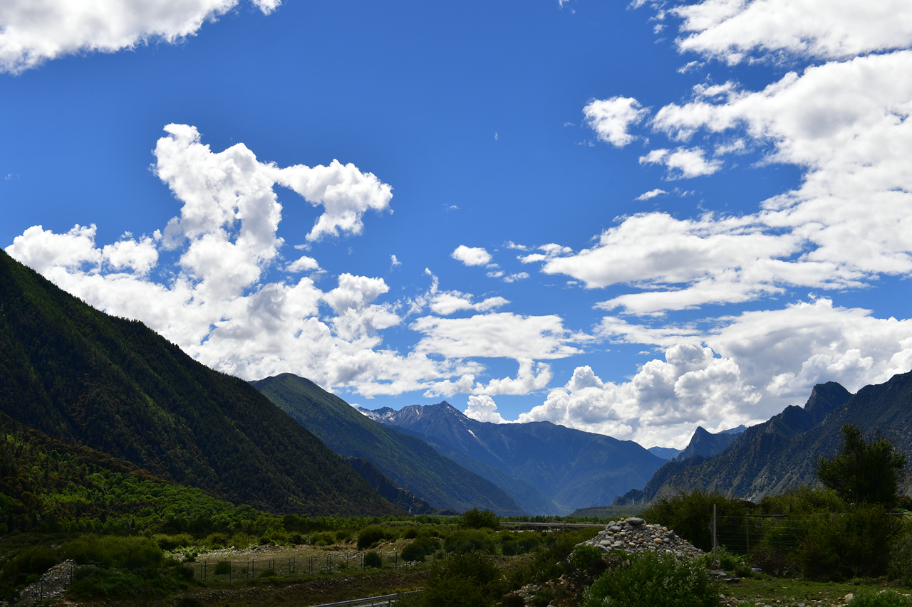 DSC_7089.jpg