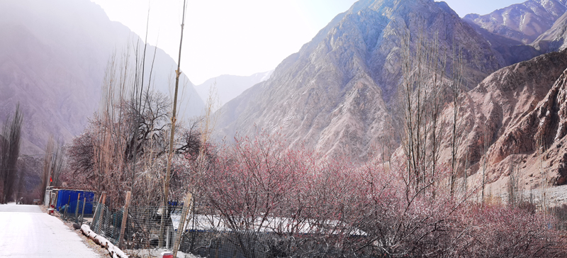 IMG_20210325_120149.jpg