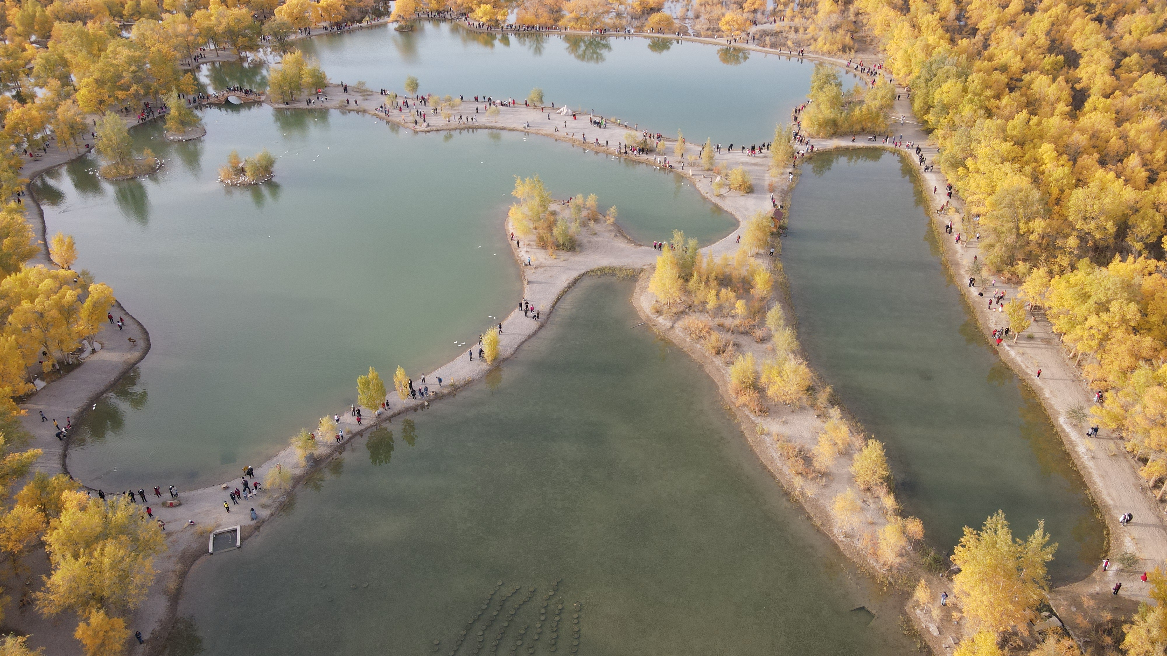 DJI_0078.JPG