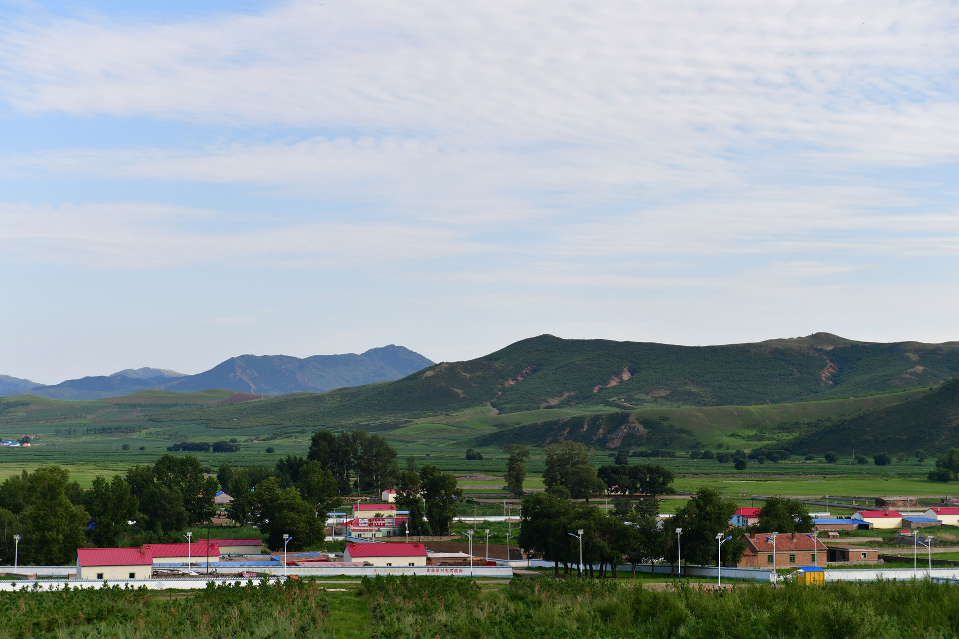 DSC_4693.jpg
