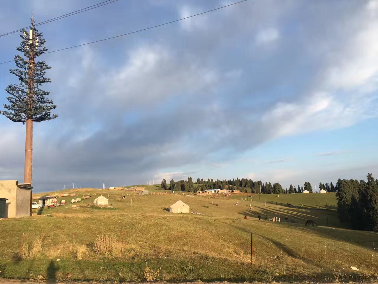 江布拉克的晨光