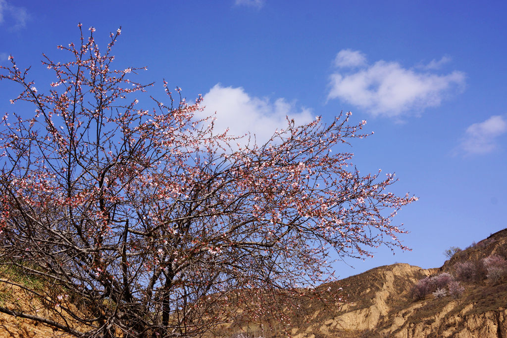 DSC08016.JPG