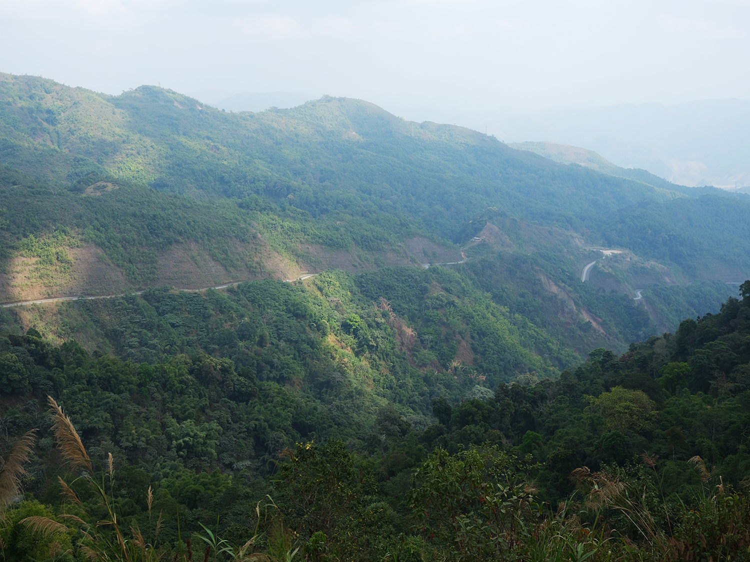 DSCF3081.jpg