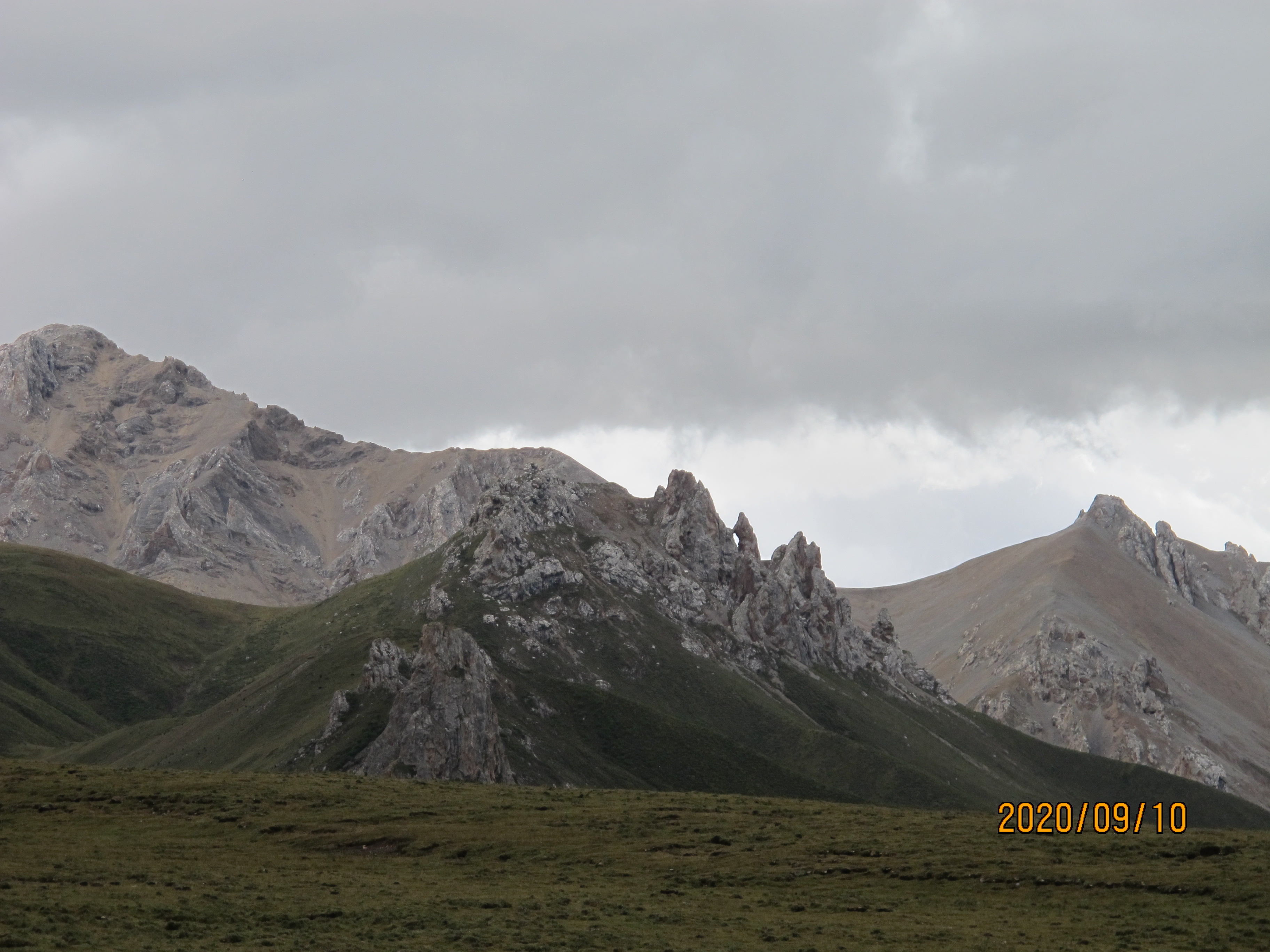 IMG_9724.jpg