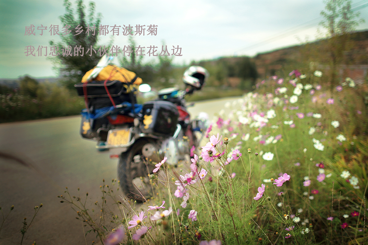 785A0157.jpg