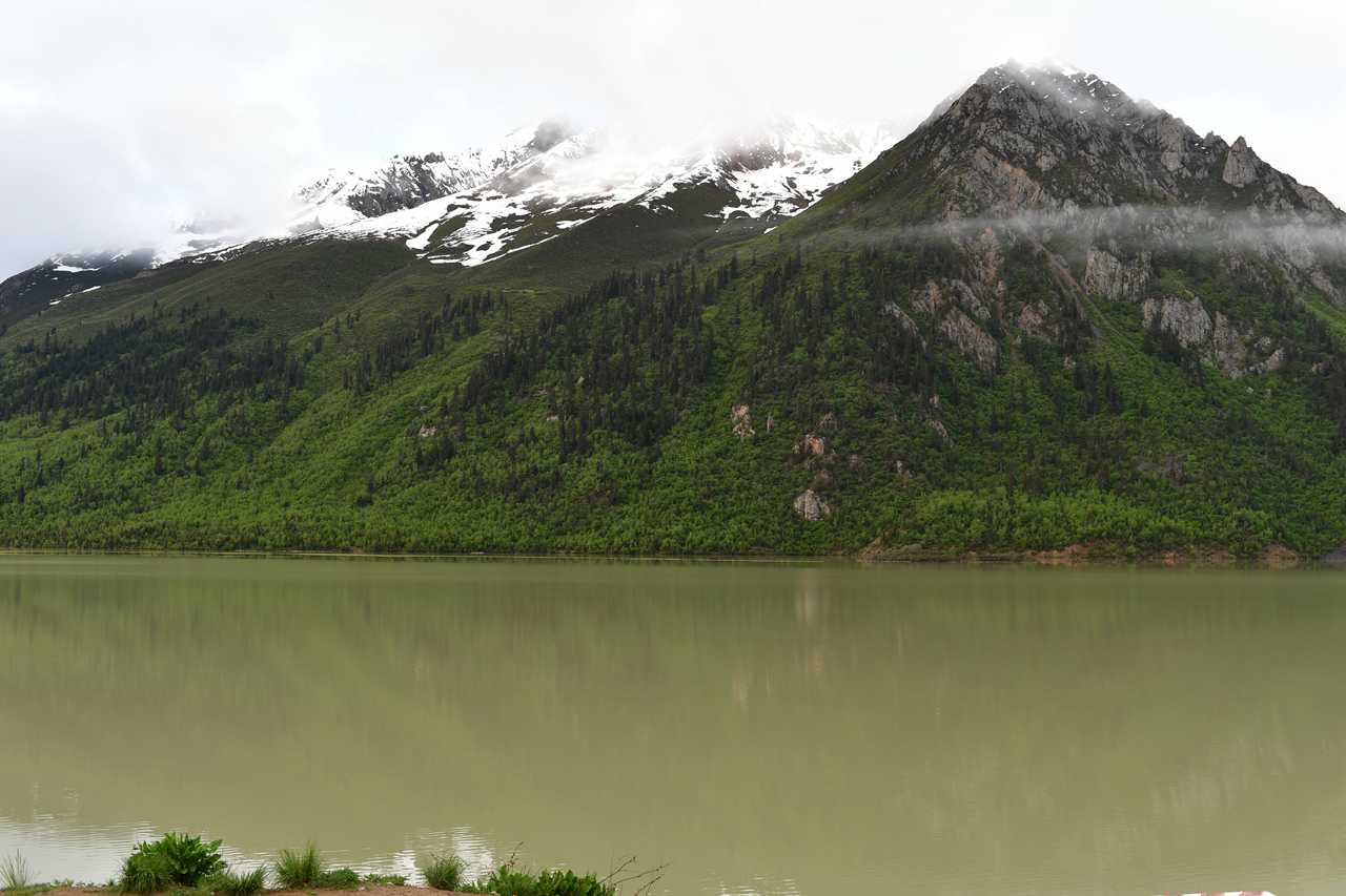 DSC_7156.jpg