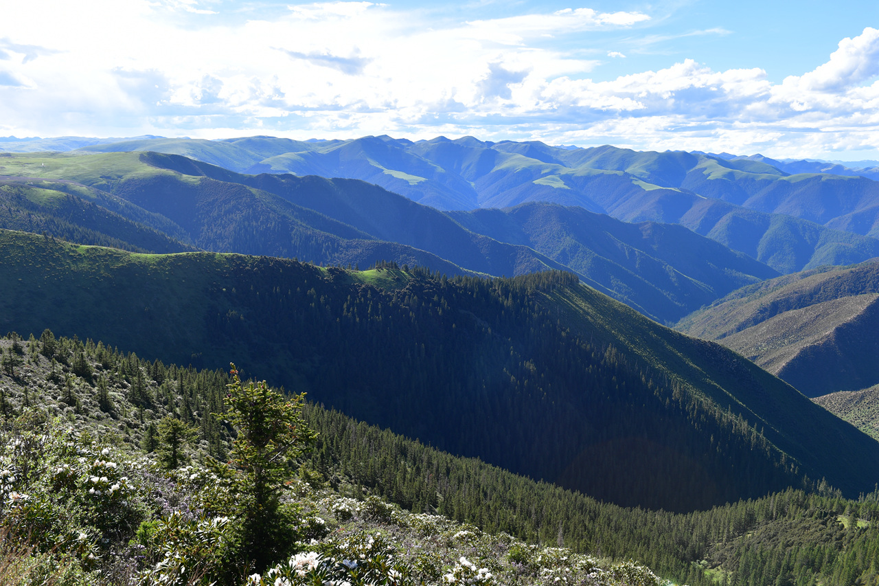 DSC_7280.jpg