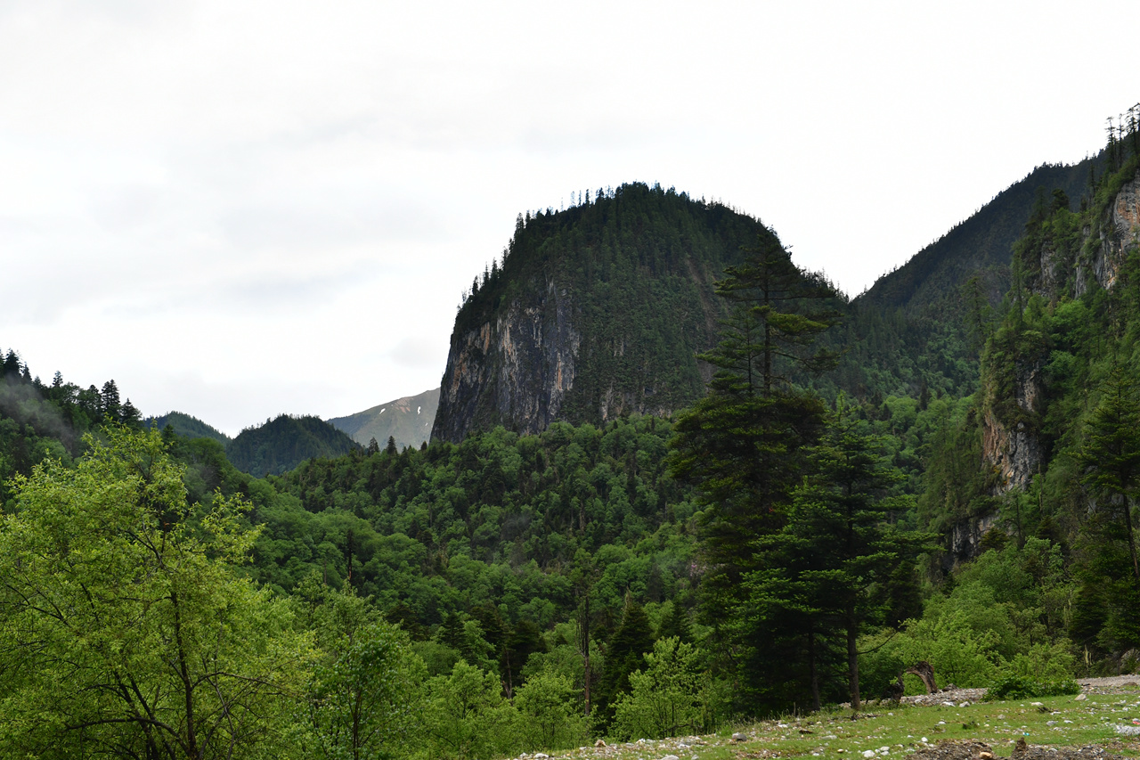 DSC_7219.jpg