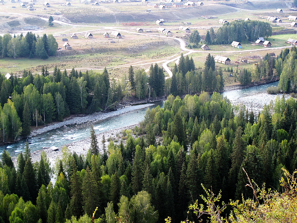 IMG_5116.jpg