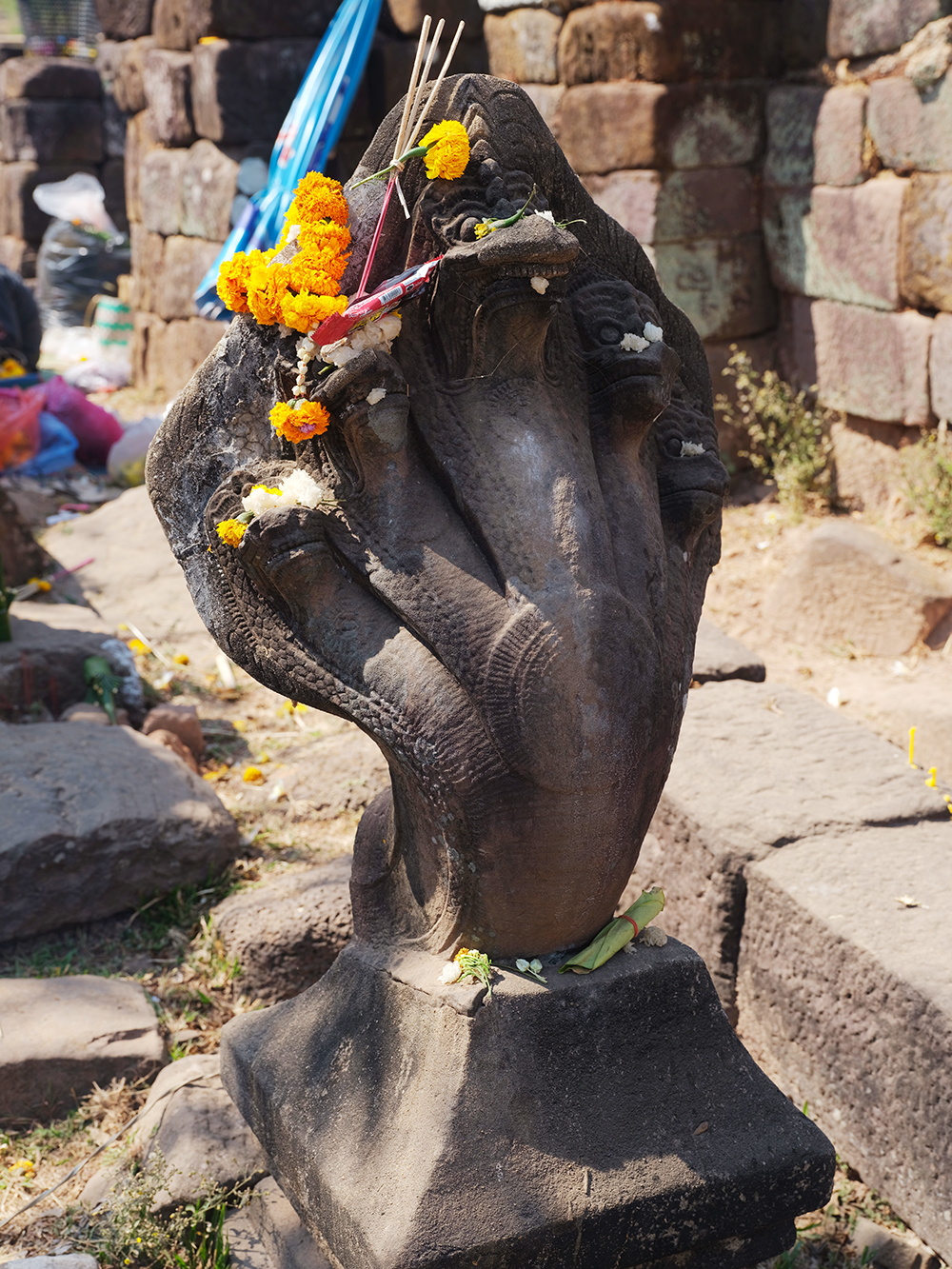 DSCF3491.jpg