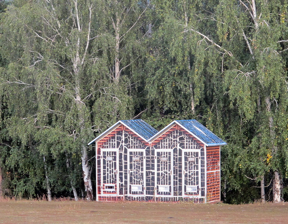 IMG_5102.jpg