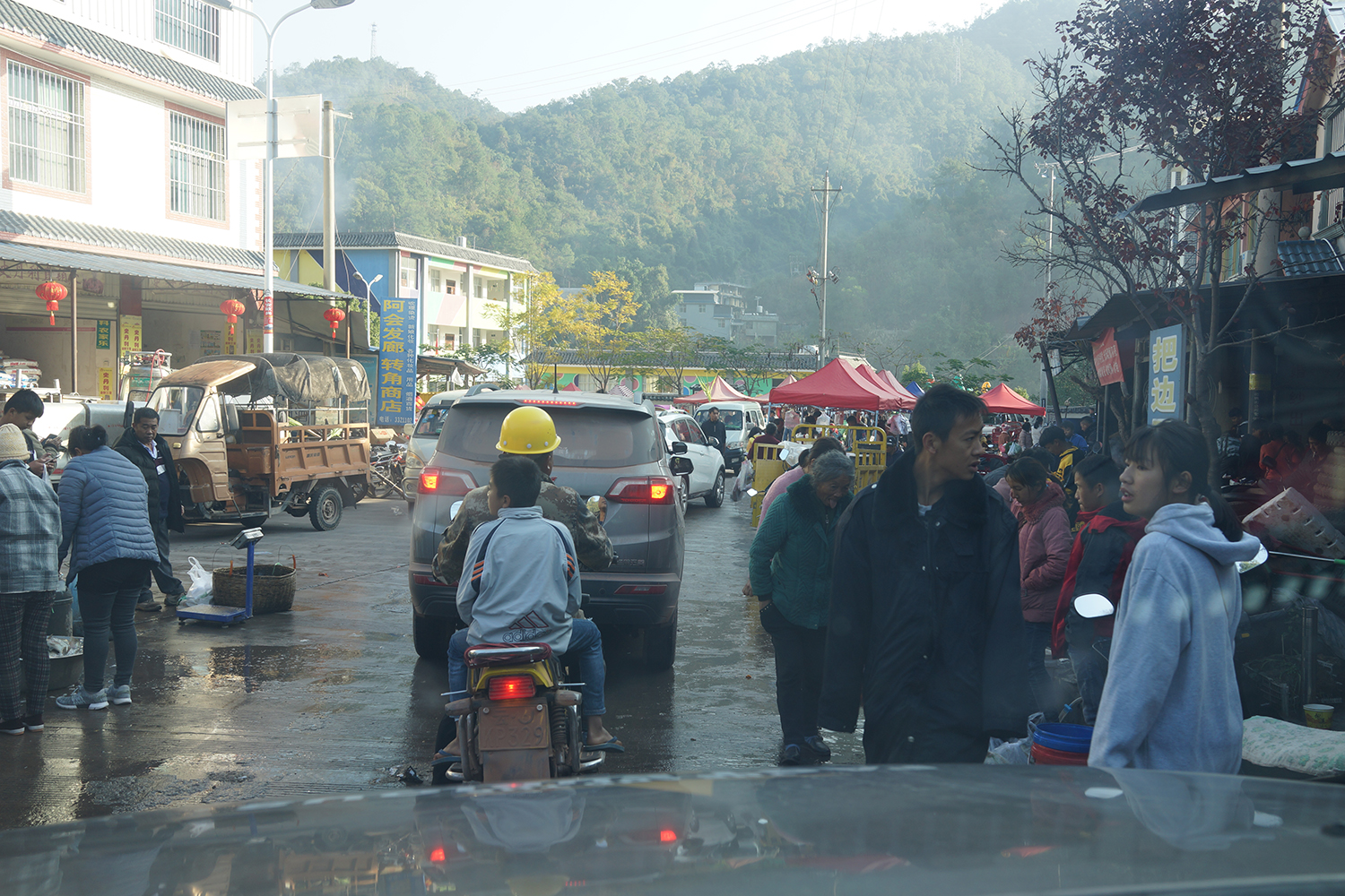 DSC00804.jpg