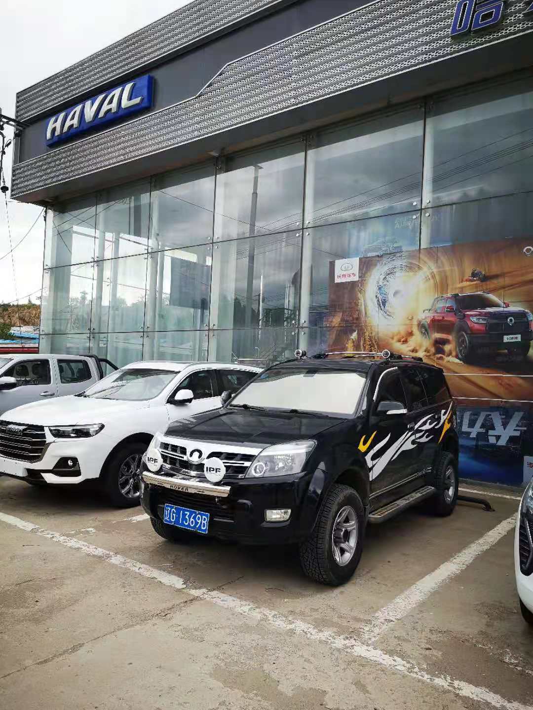 2021年 6月4日  送你回家  回到你最初的家   但在我家的相册里 永远都有你的样子 [大哭][大哭][大哭] ...