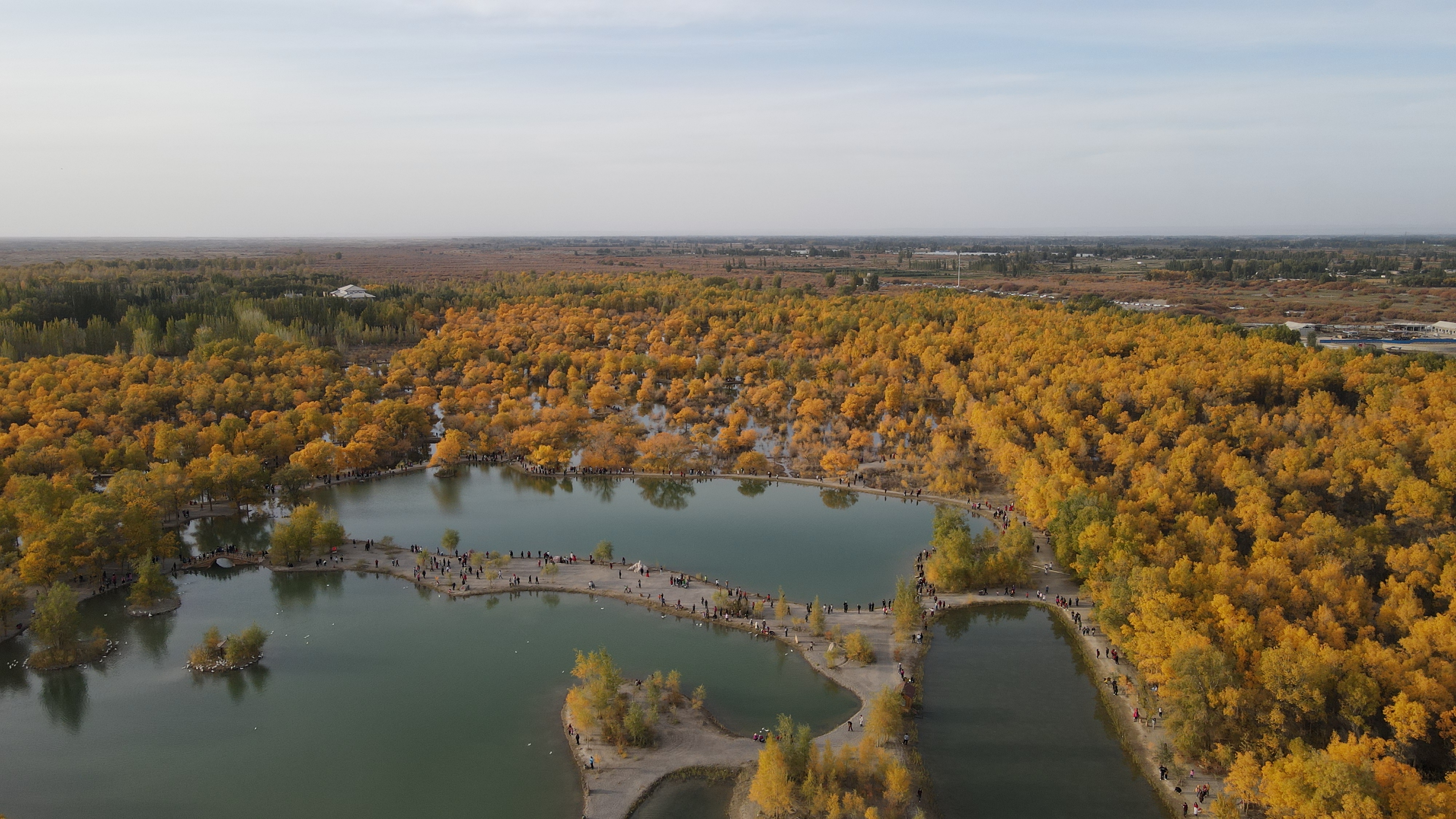 DJI_0079.JPG