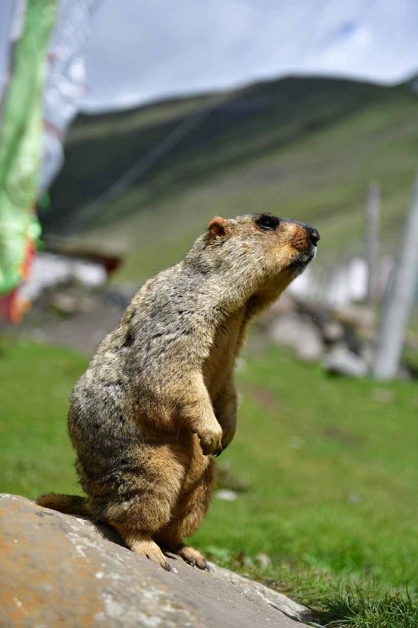 DSC_6786.jpg