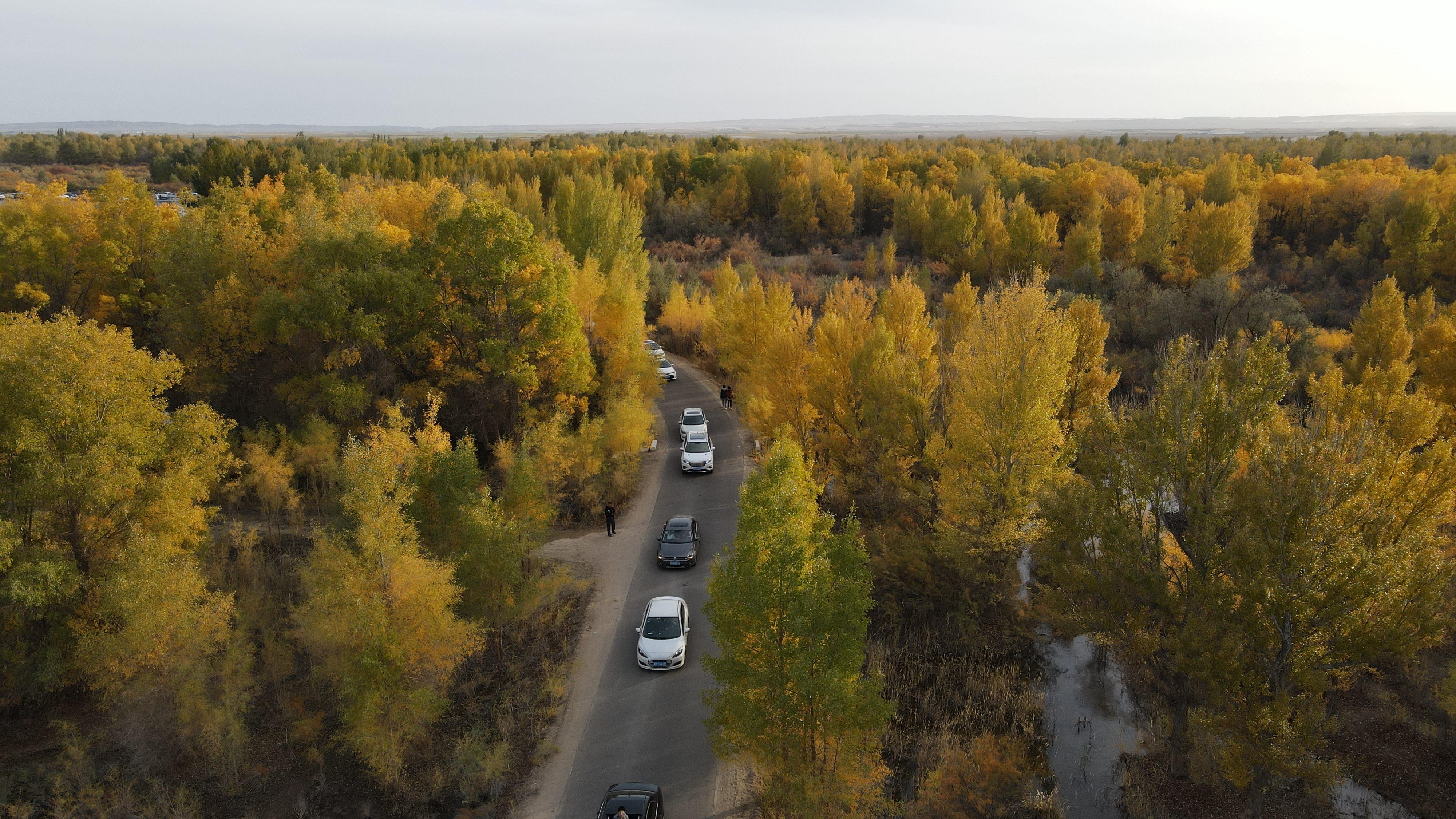 DJI_0114.JPG