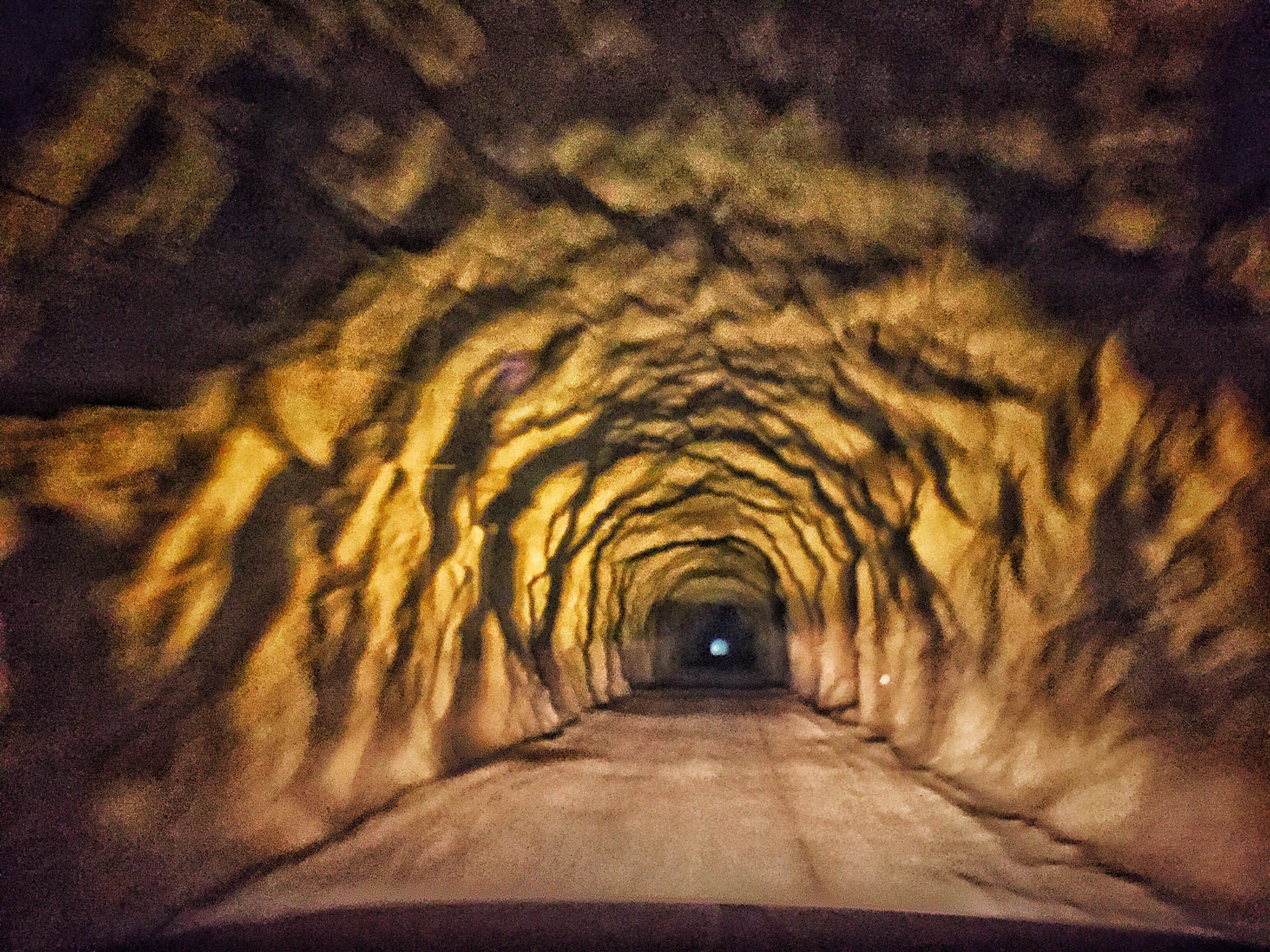 Snapseed 26.jpg