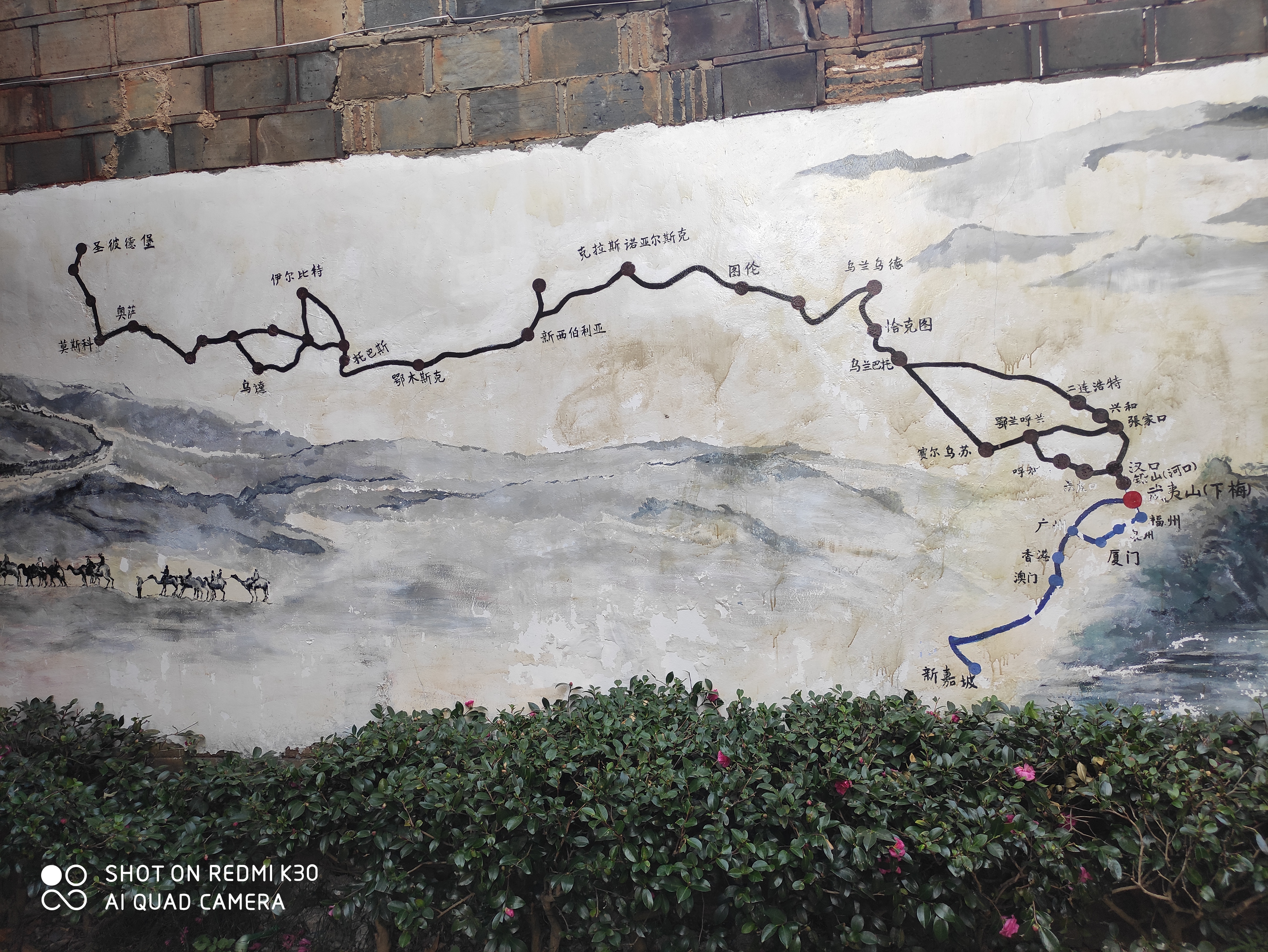 大当茶叶外销路线