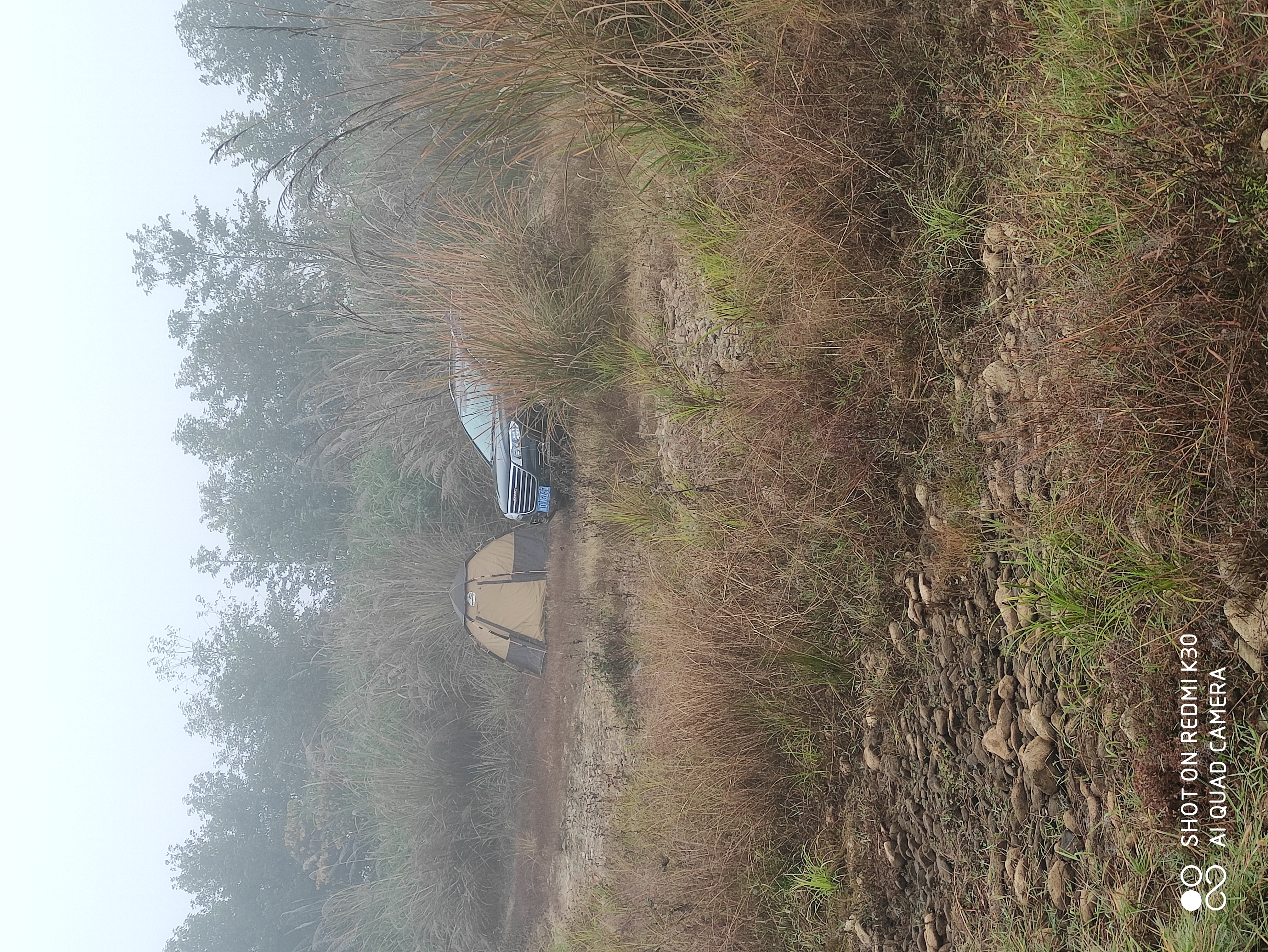 也是荒郊野外了