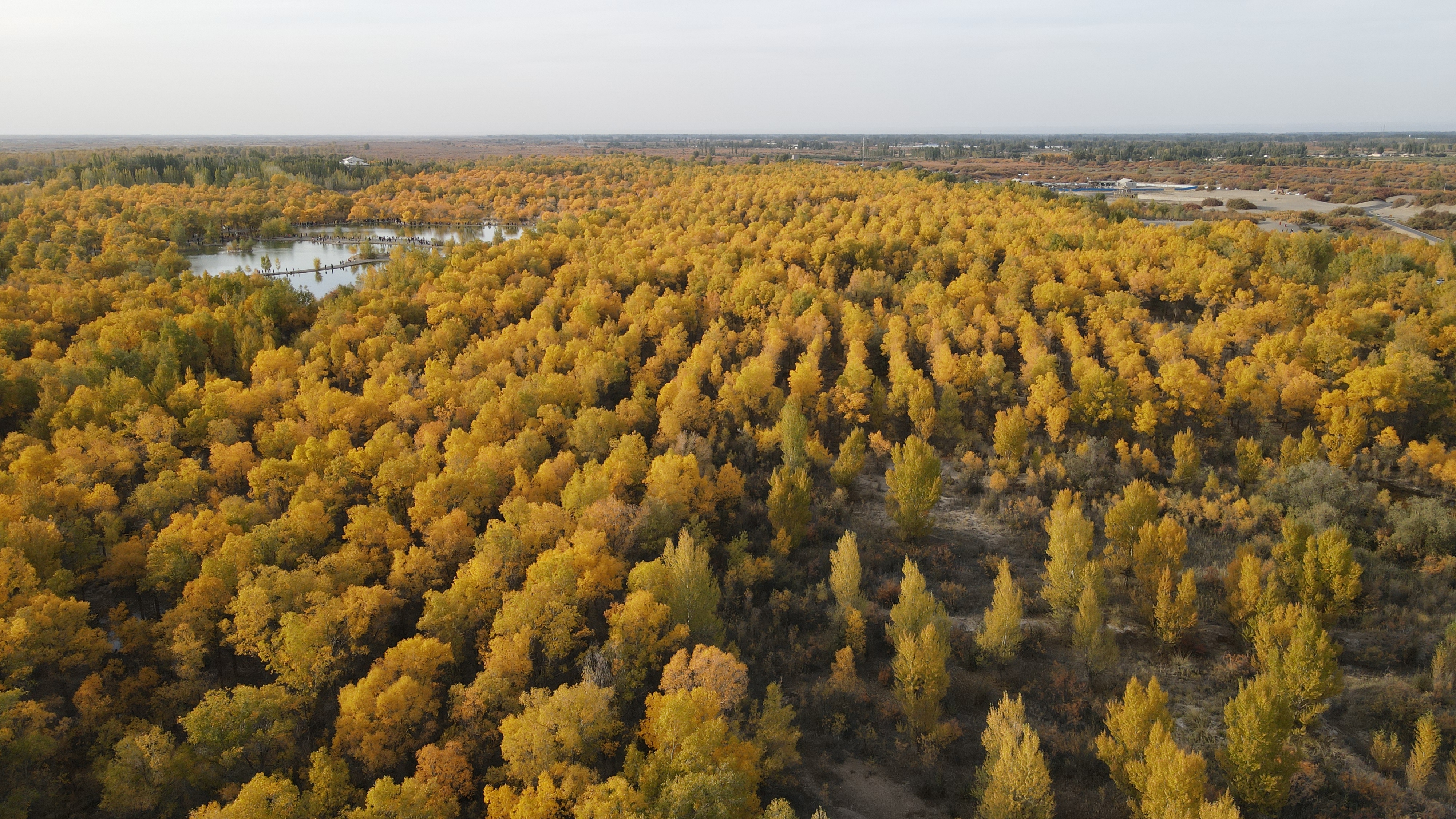 DJI_0058.JPG