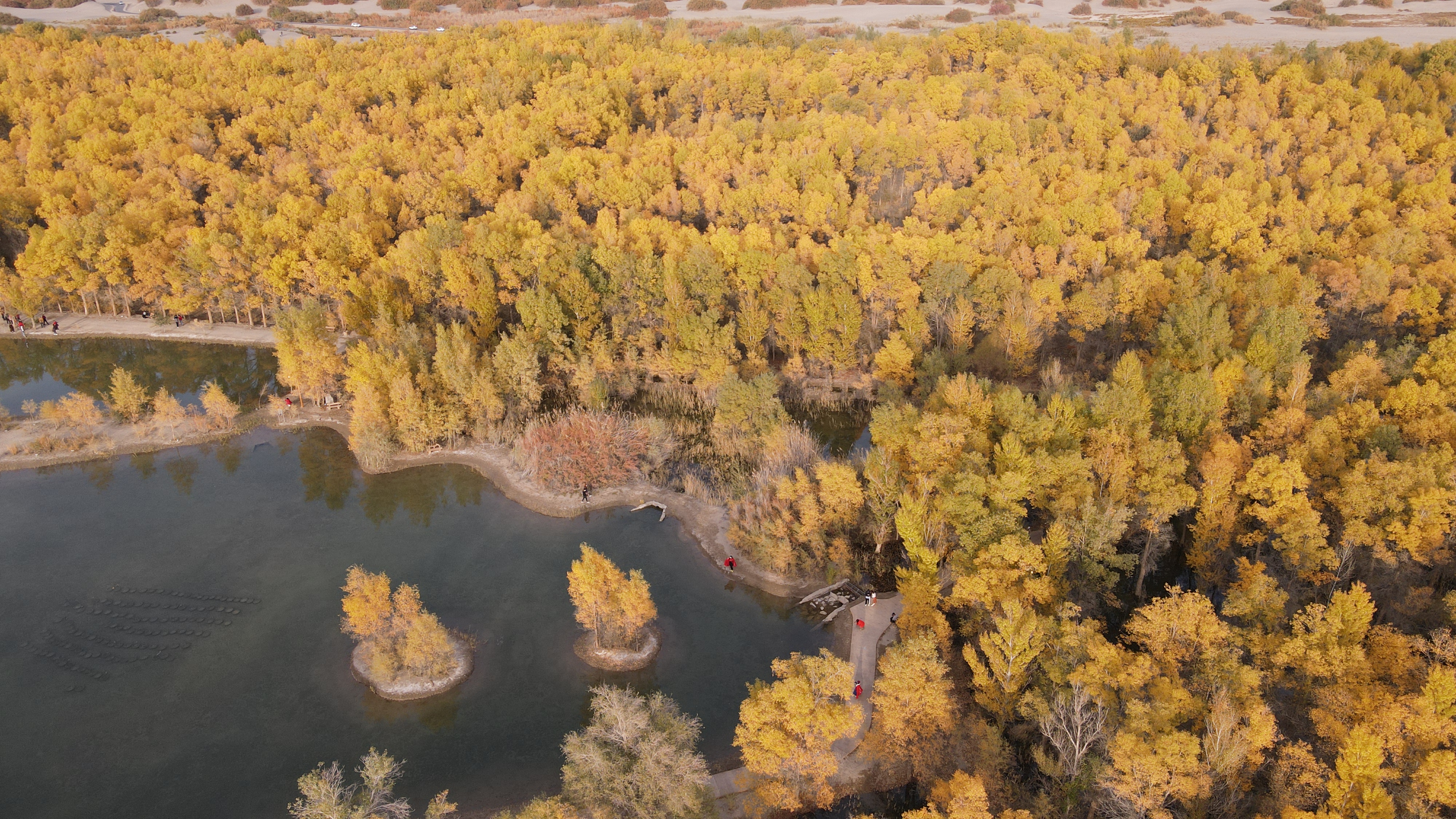 DJI_0081.JPG
