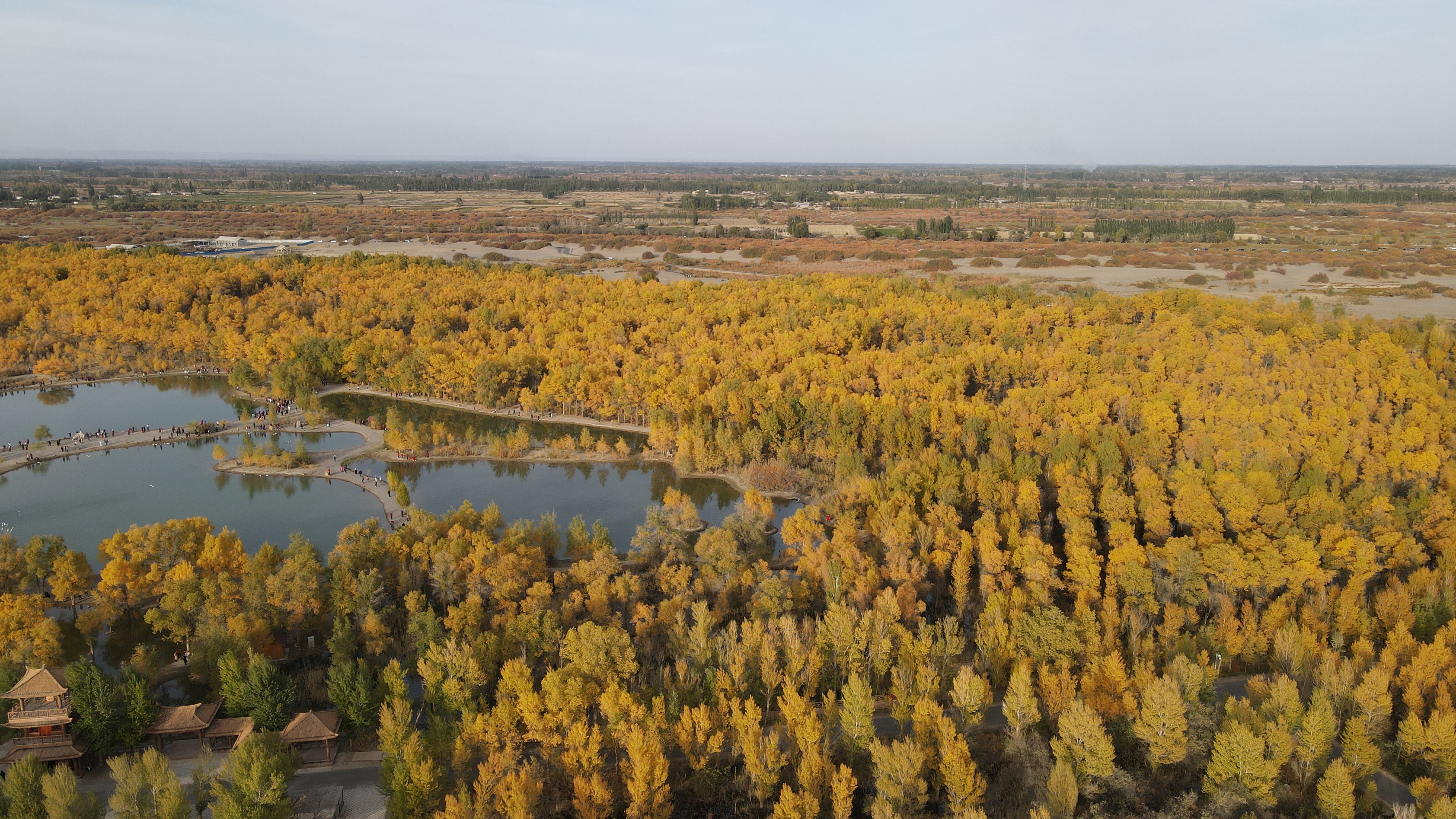 DJI_0062.JPG