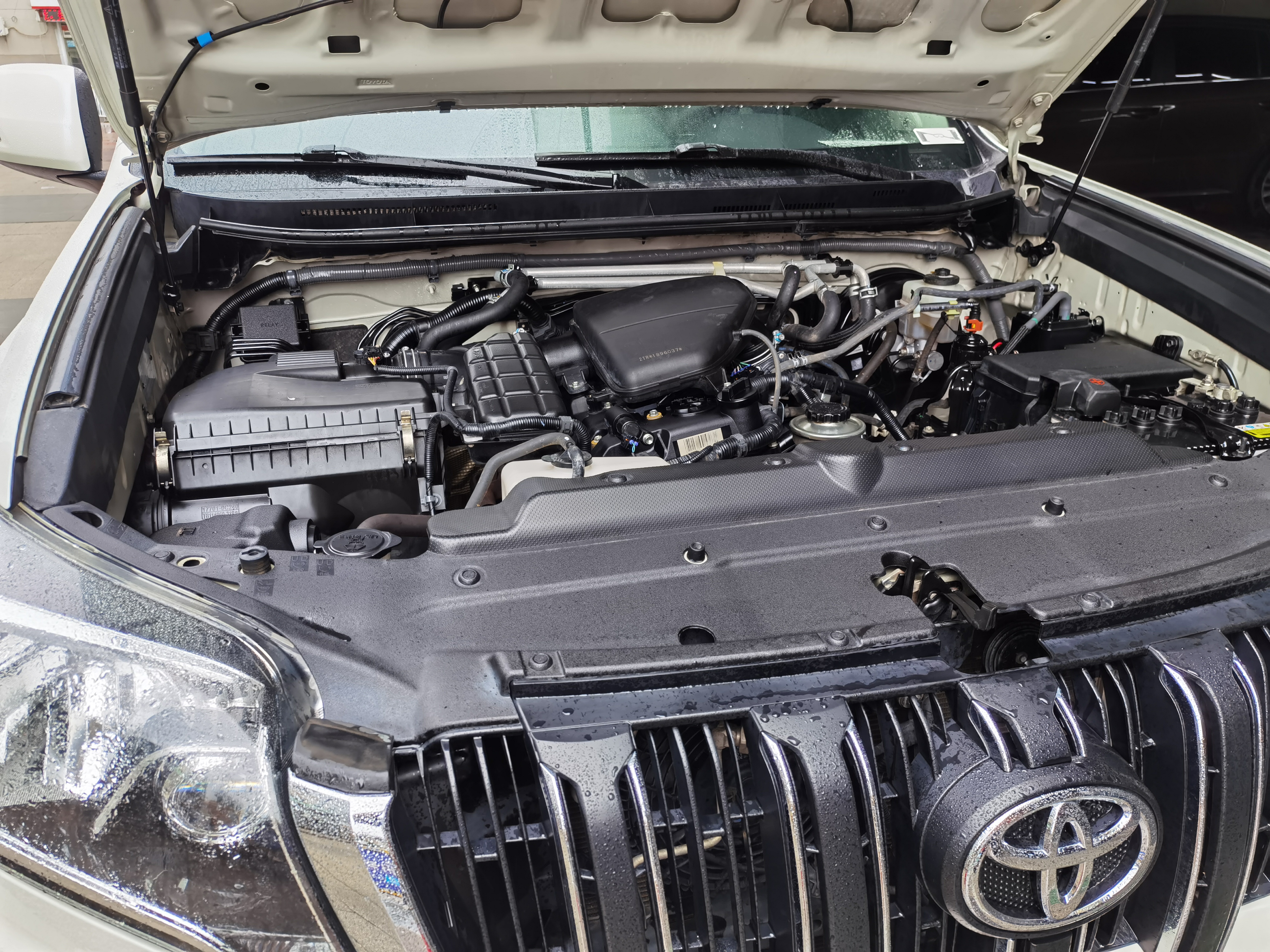 webwxgetmsgimg (18).jpg