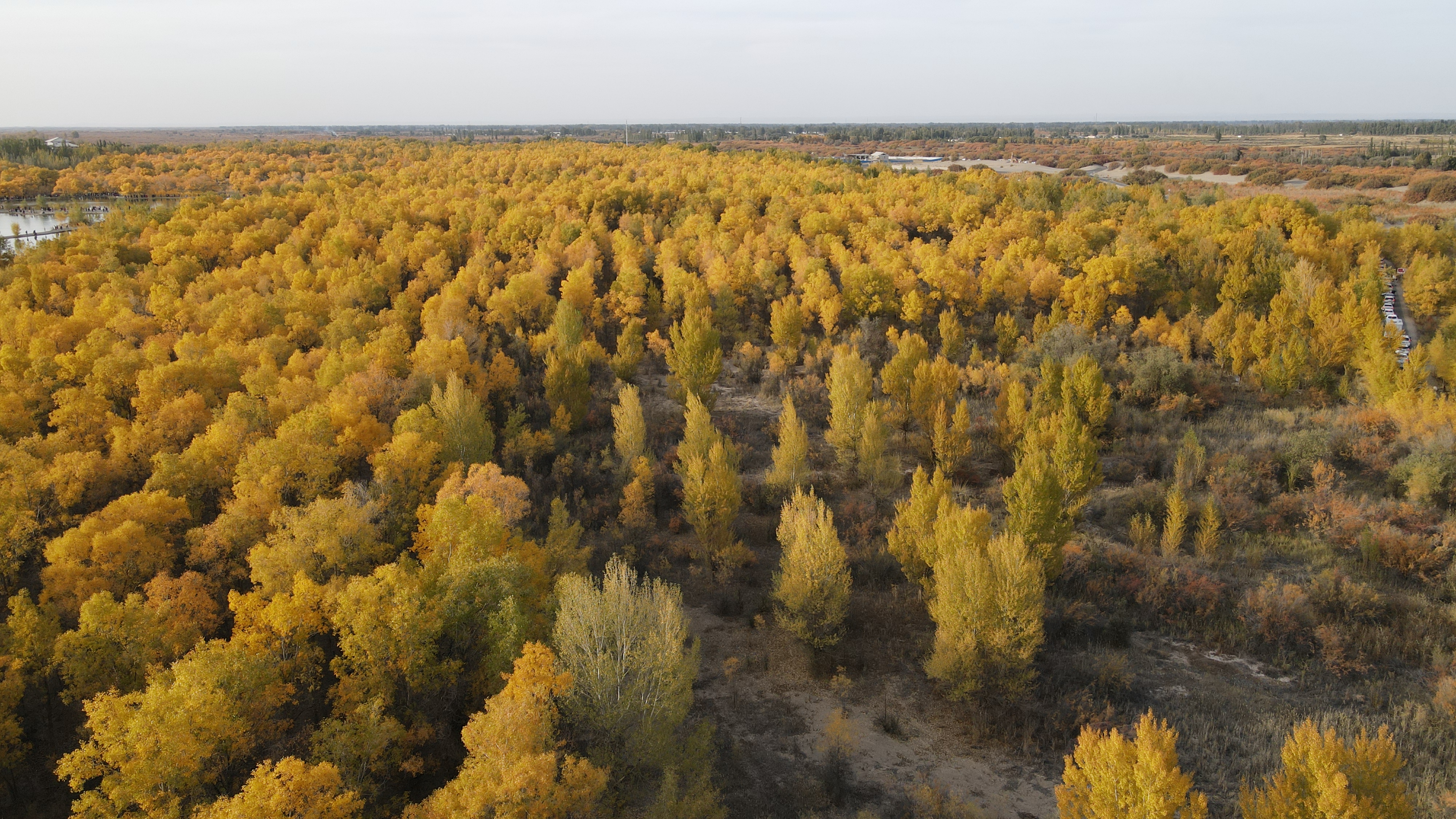 DJI_0056.JPG