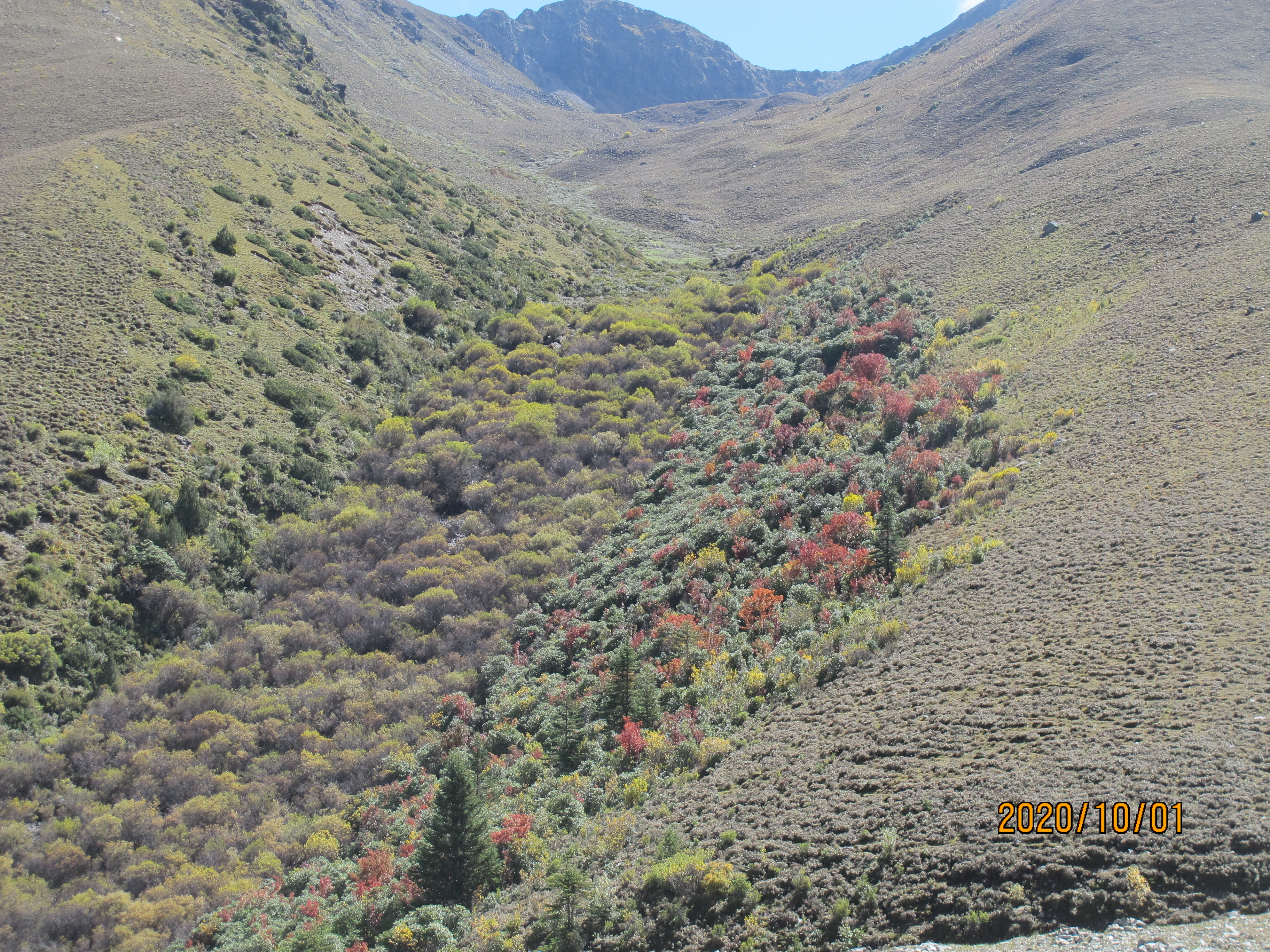 IMG_9839.jpg