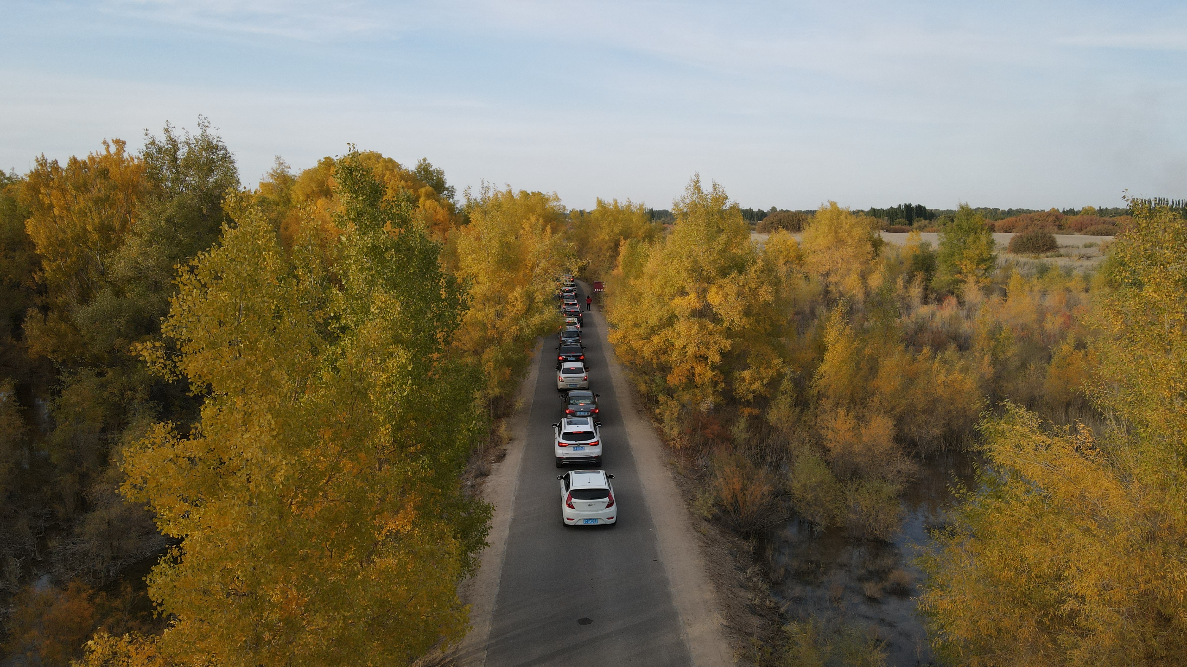 DJI_0118.JPG