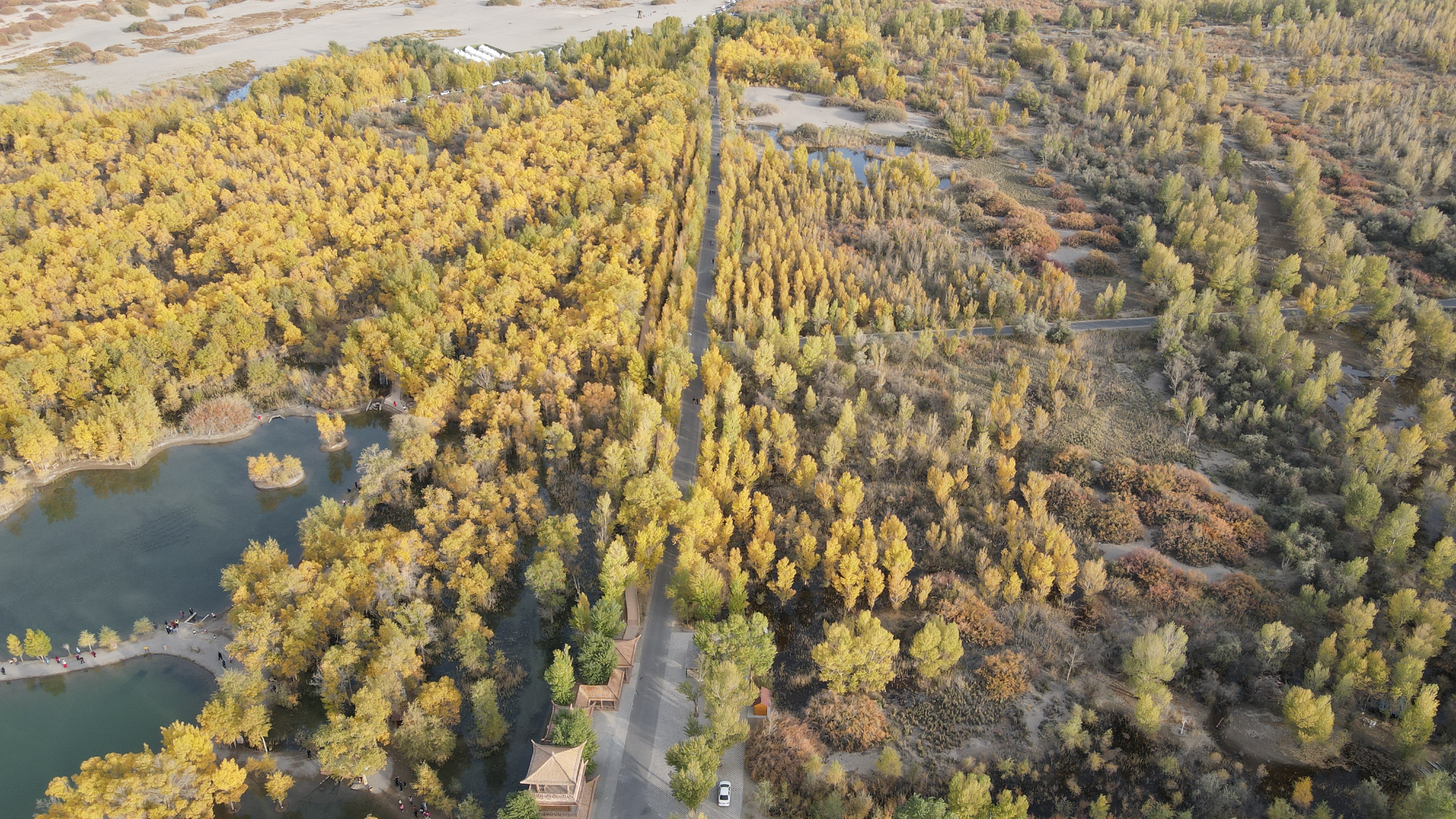 DJI_0072.JPG