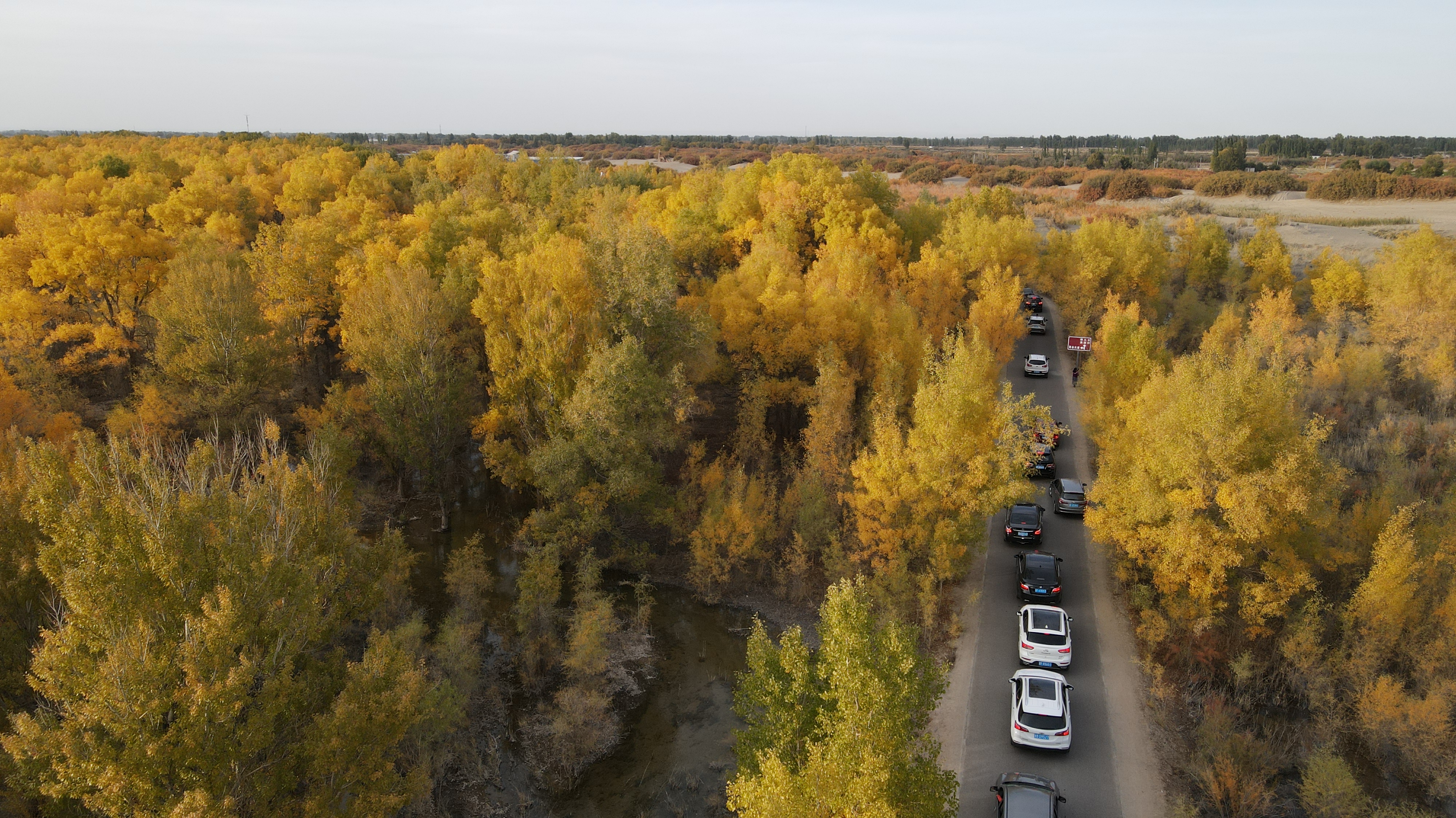 DJI_0109.JPG