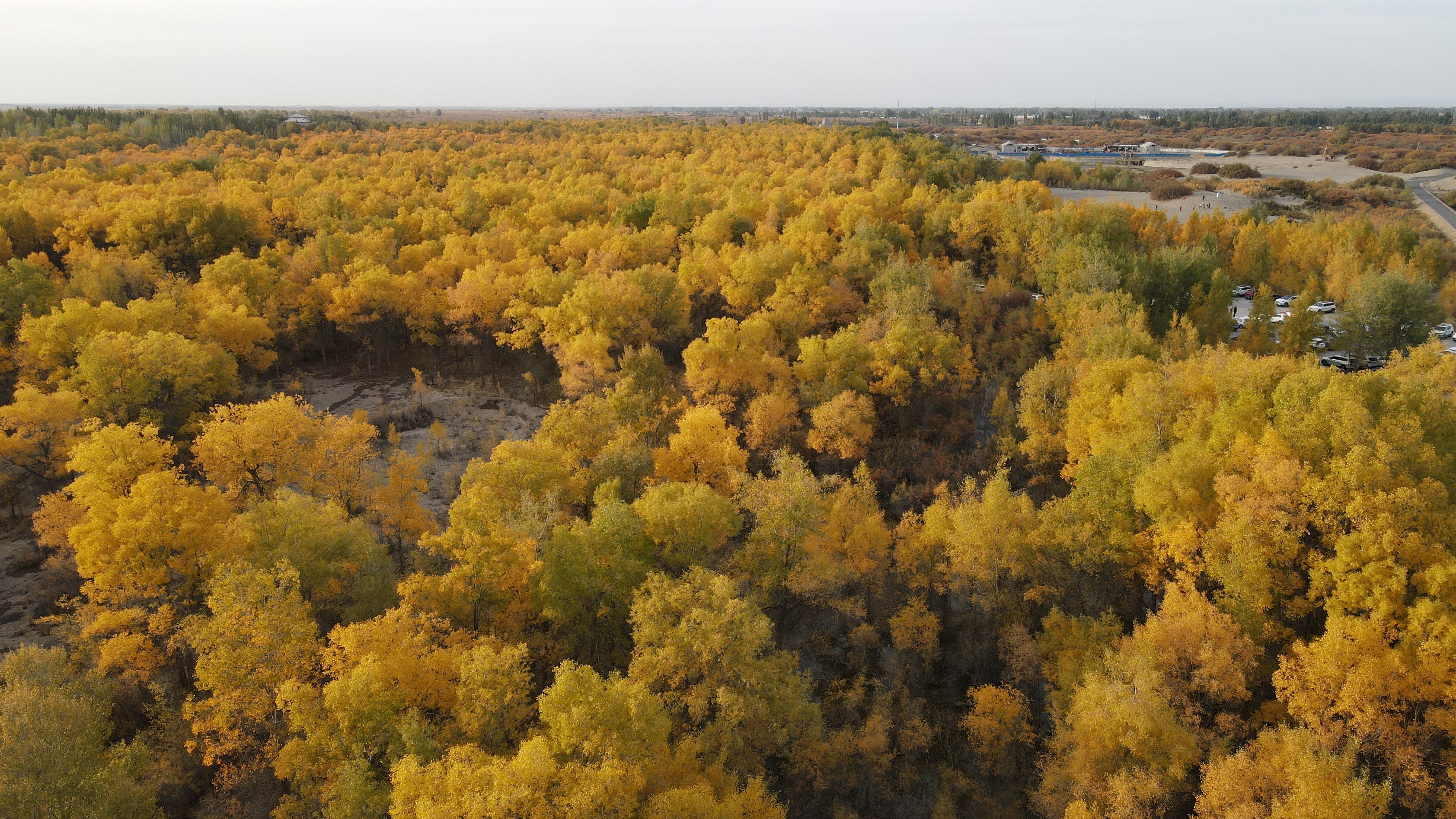 DJI_0117.JPG