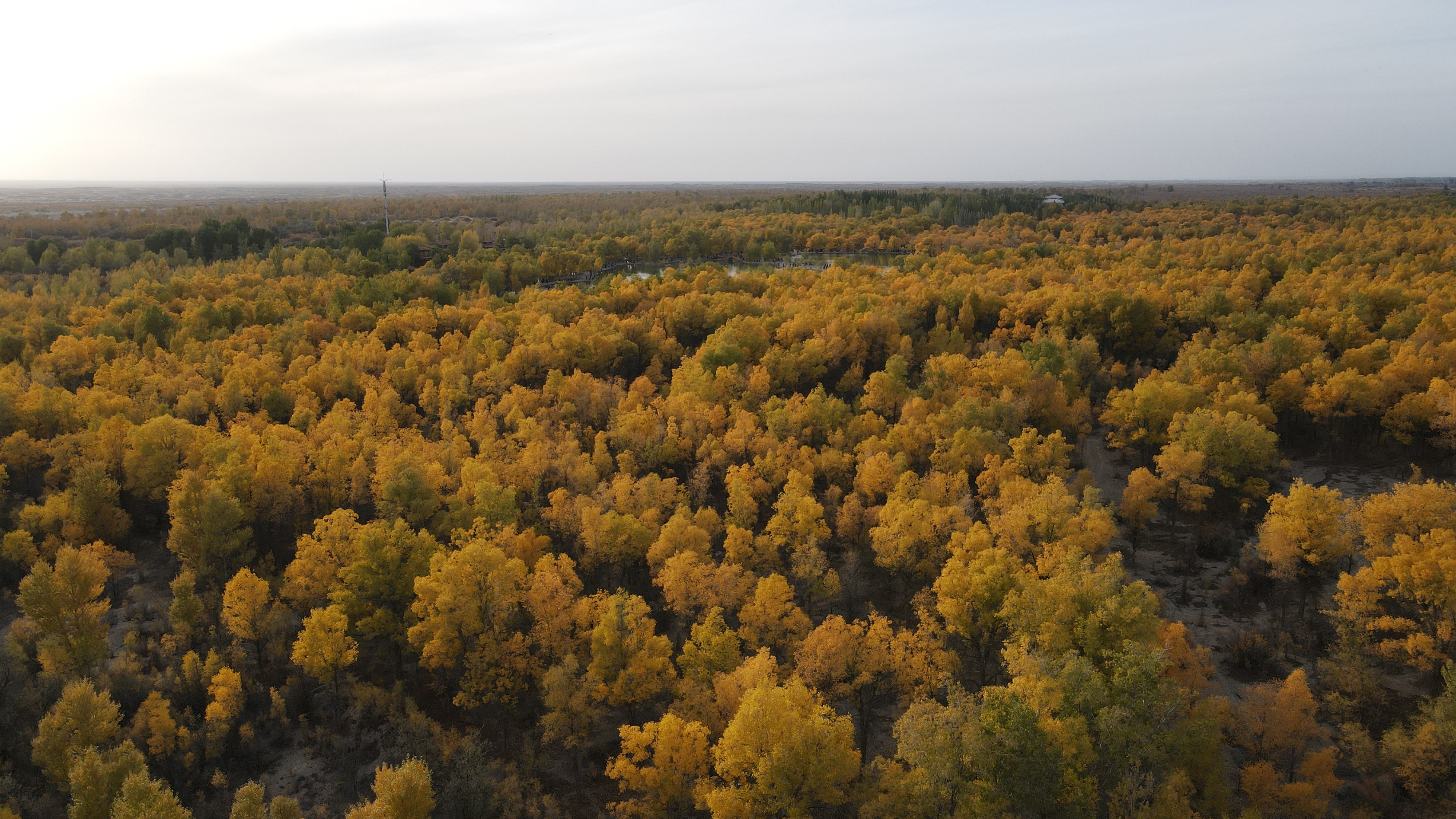 DJI_0098.JPG