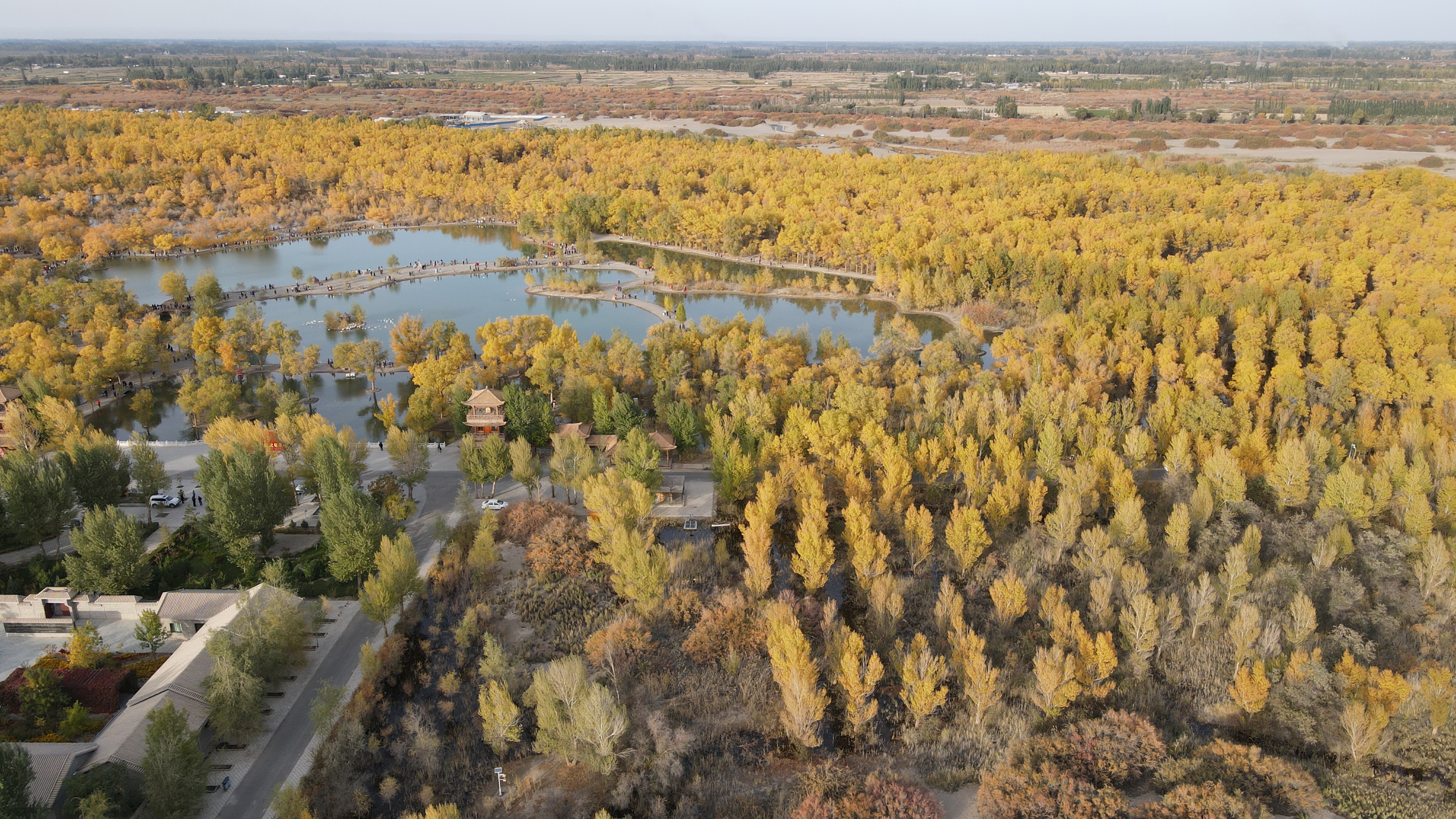 DJI_0063.JPG