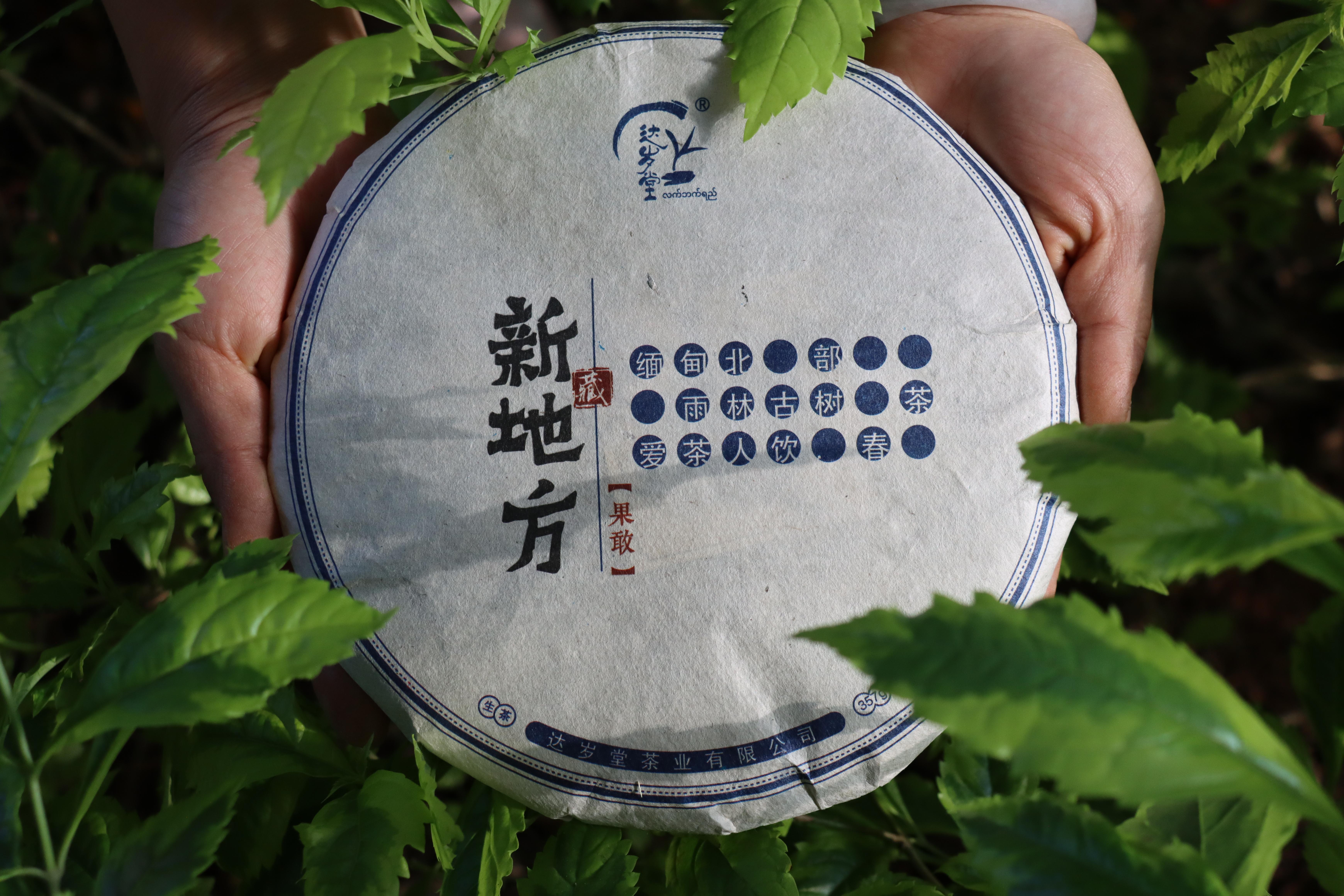 新地方-2.jpg