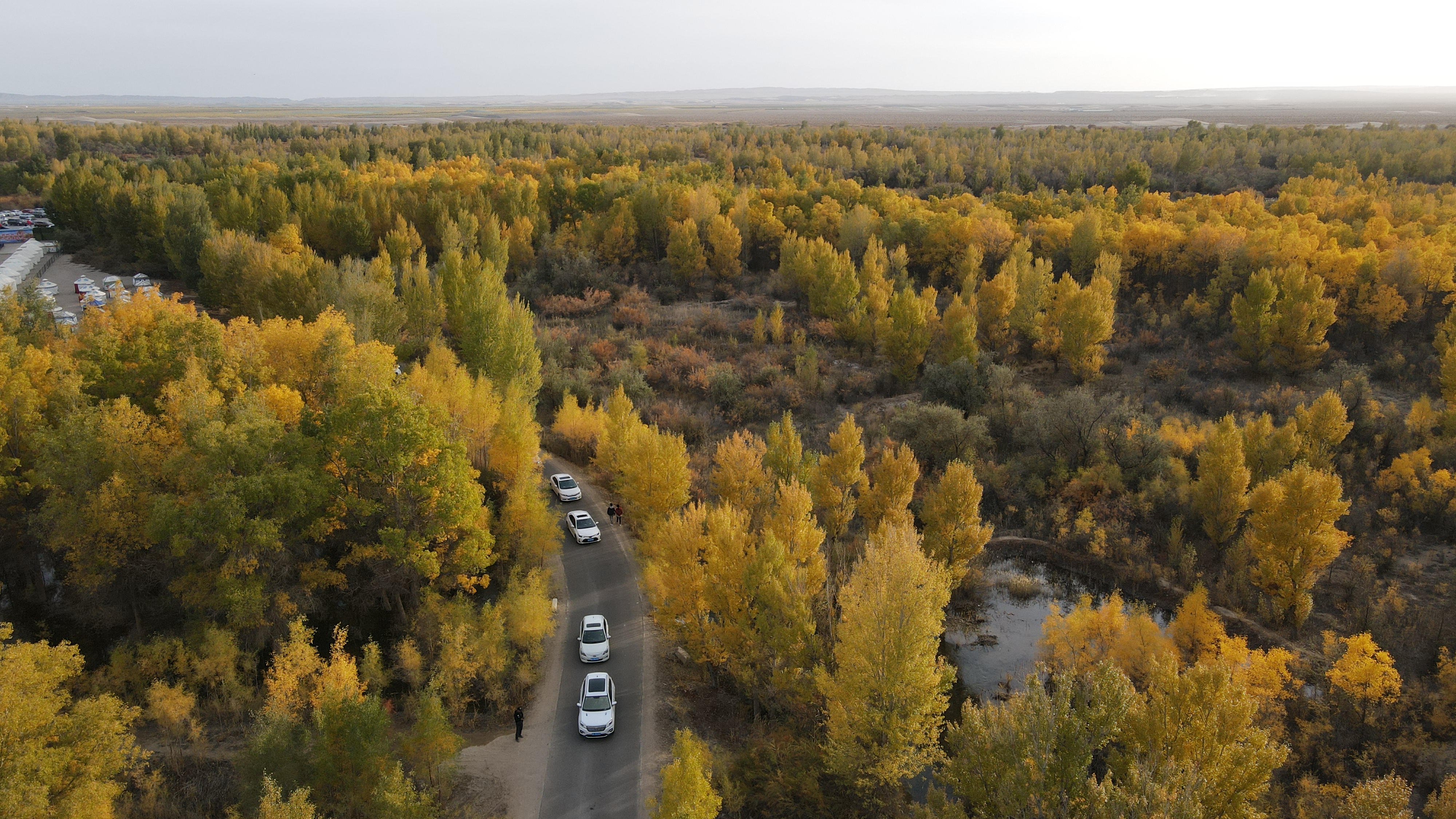 DJI_0115.JPG