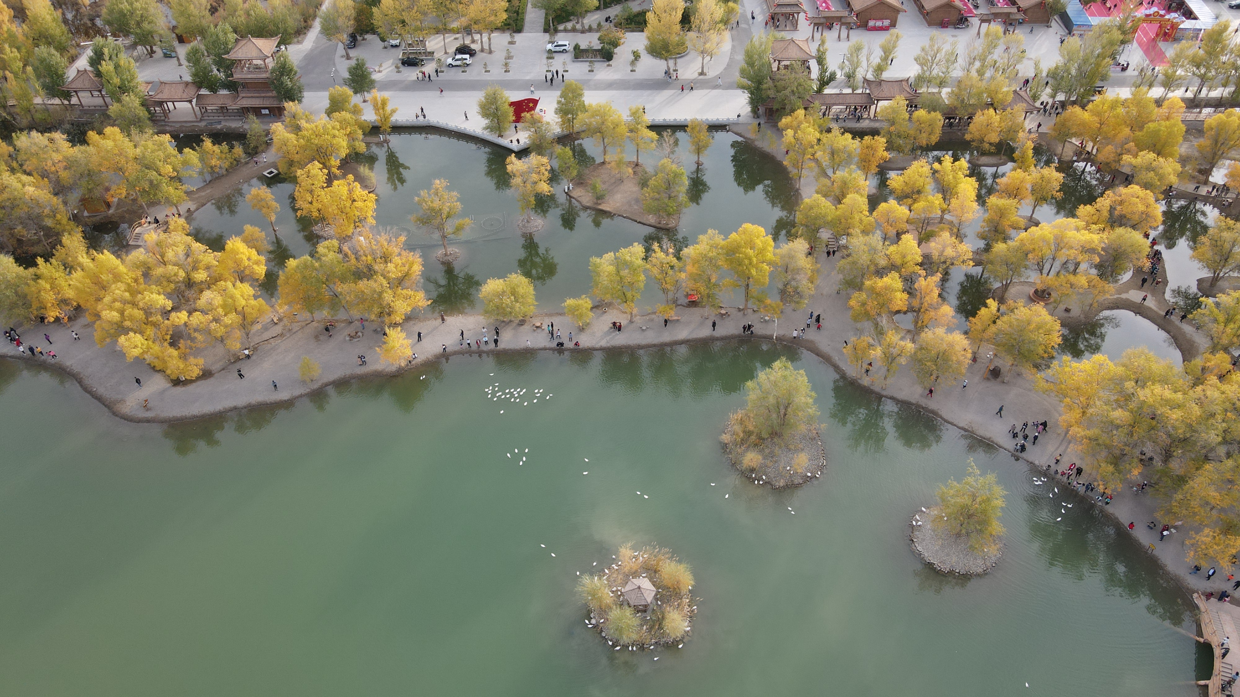 DJI_0091.JPG