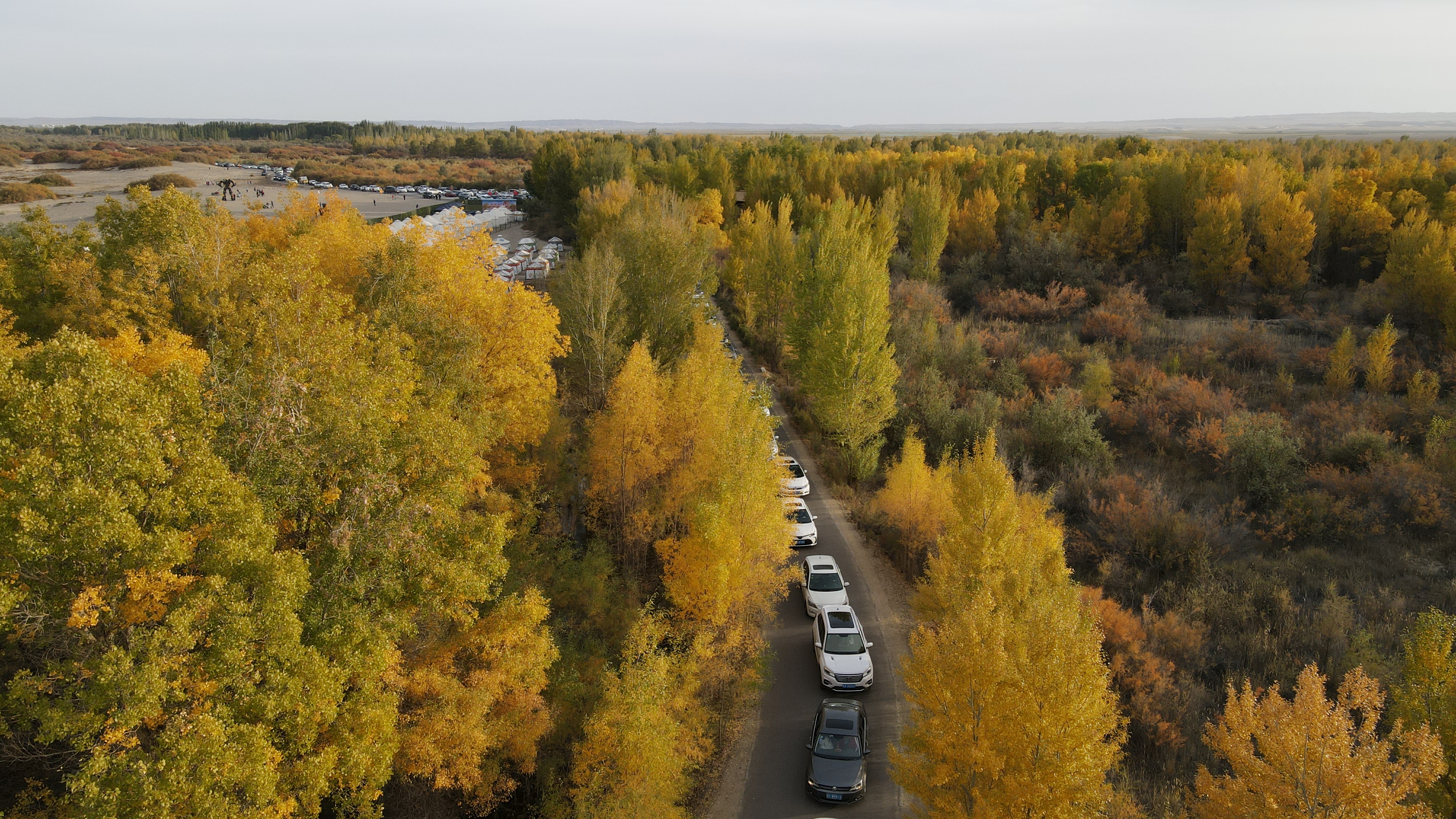 DJI_0110.JPG