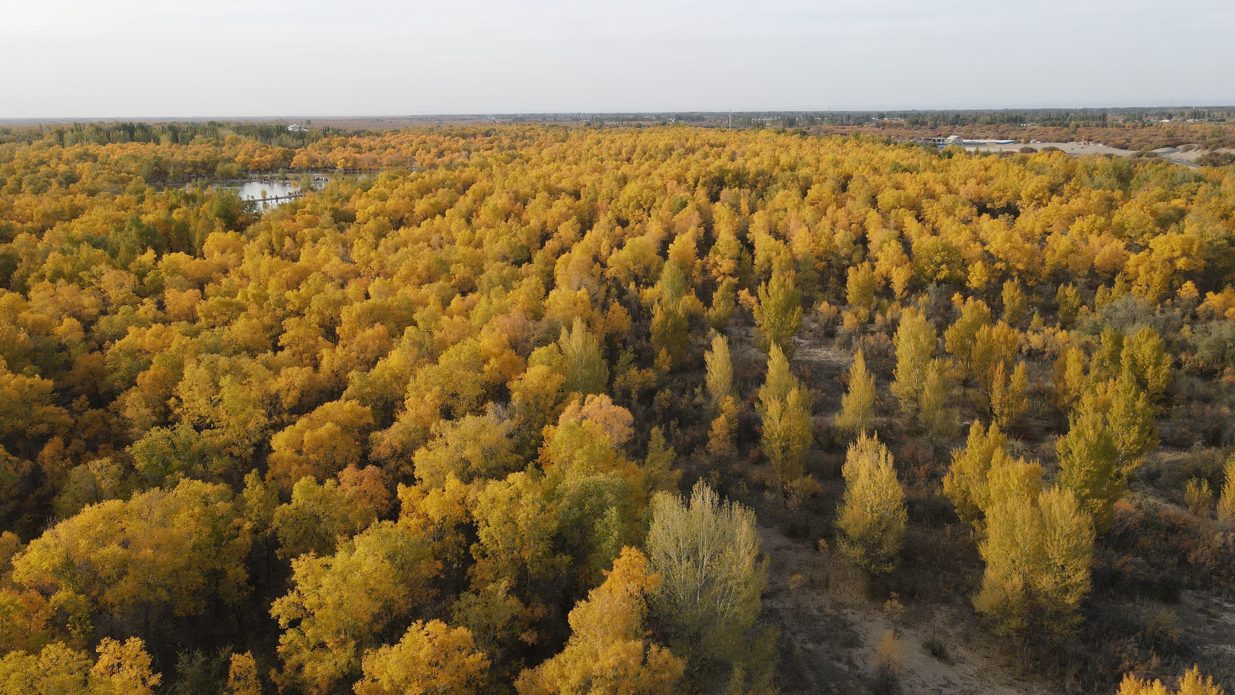 DJI_0057.JPG