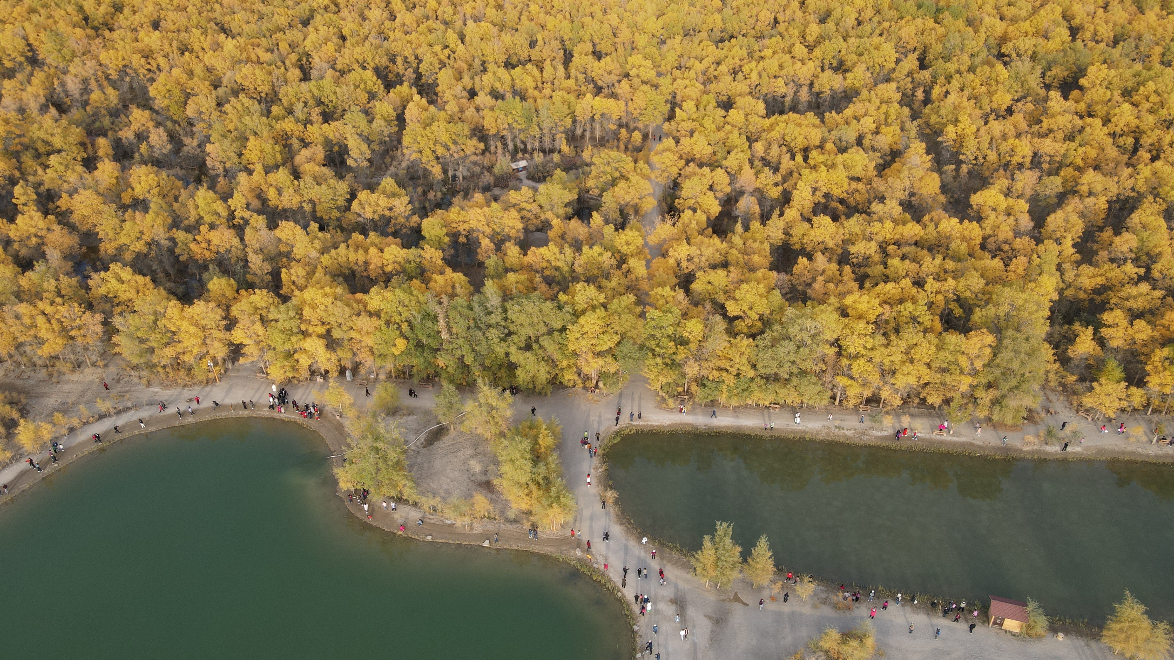 DJI_0092.JPG