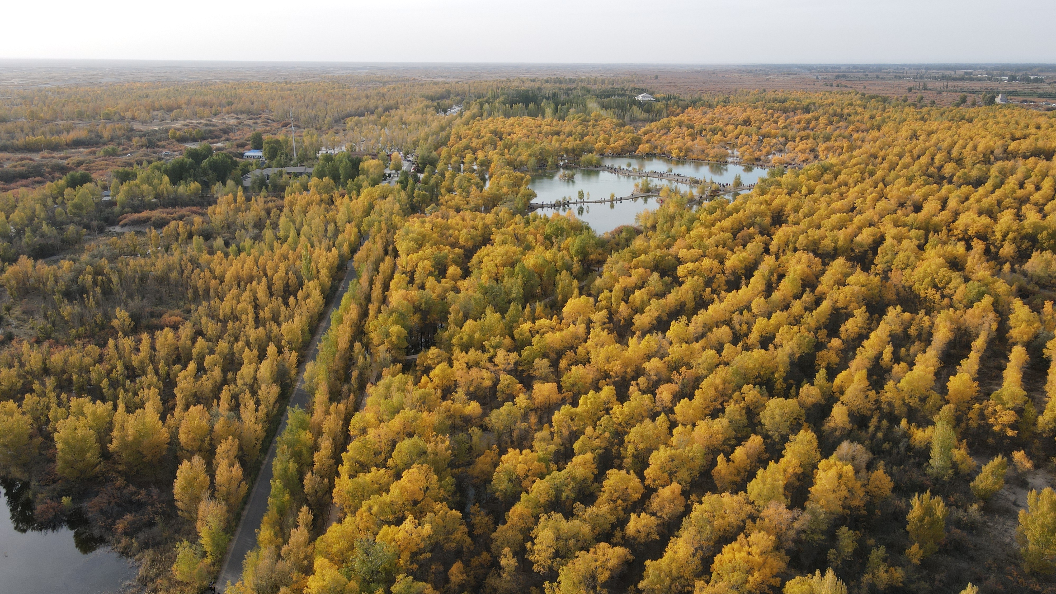 DJI_0059.JPG