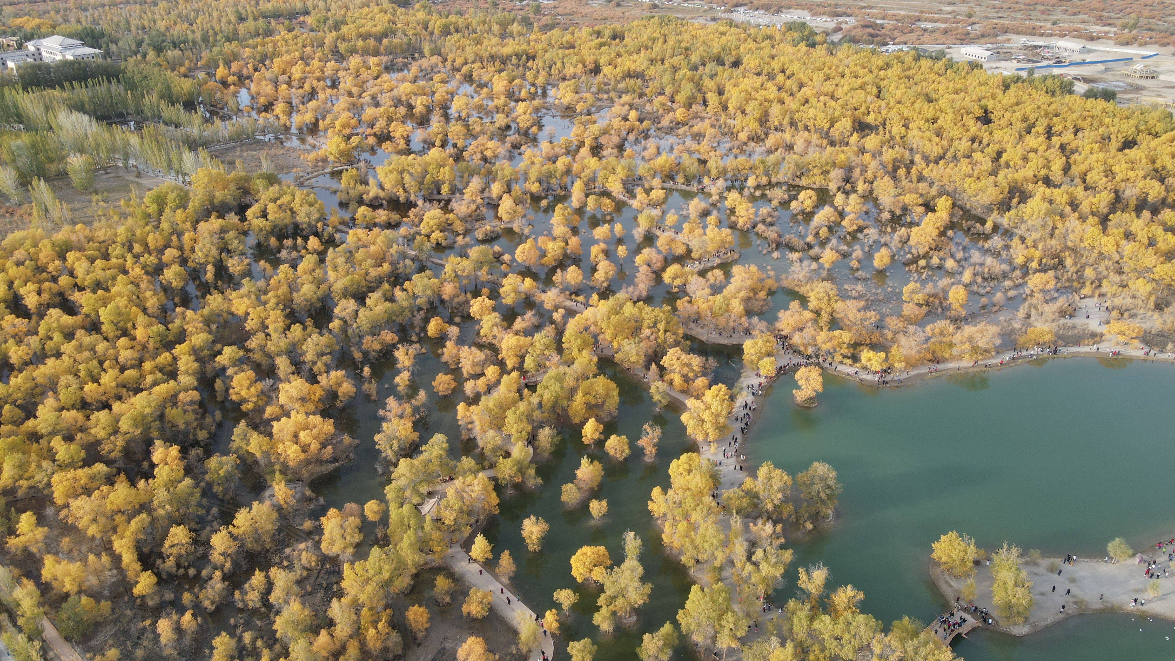 DJI_0073.JPG