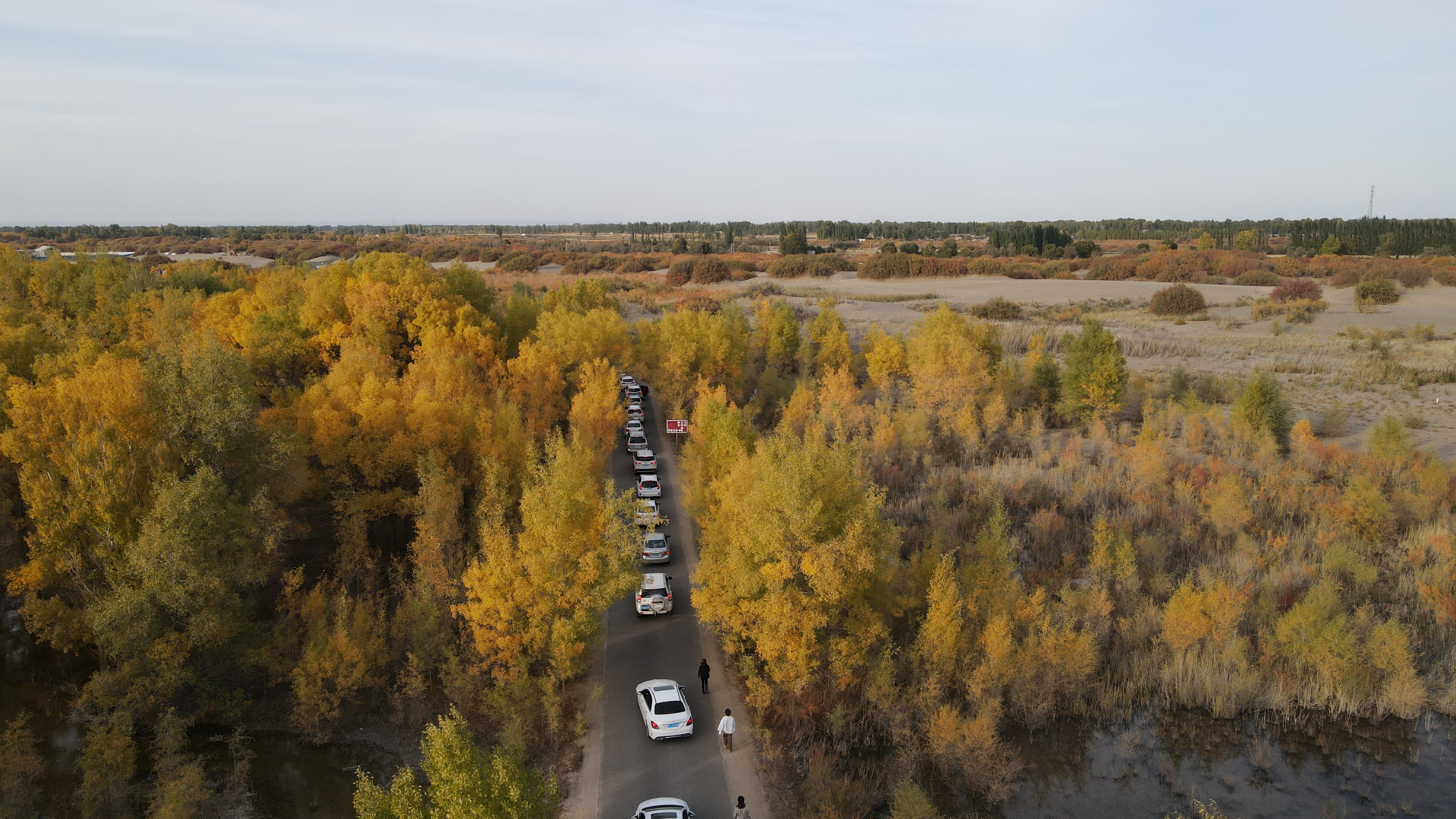 DJI_0054.JPG