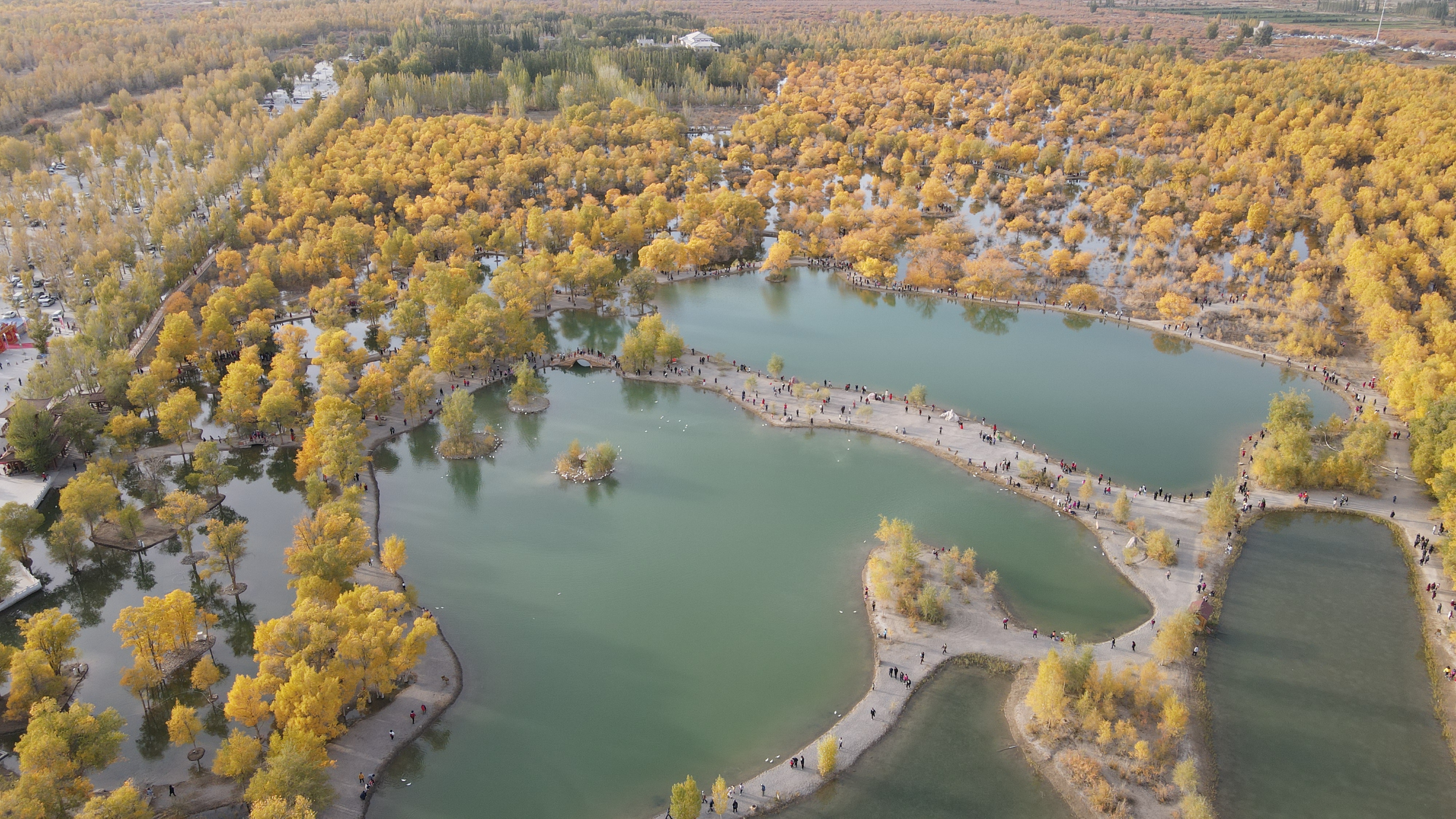 DJI_0076.JPG
